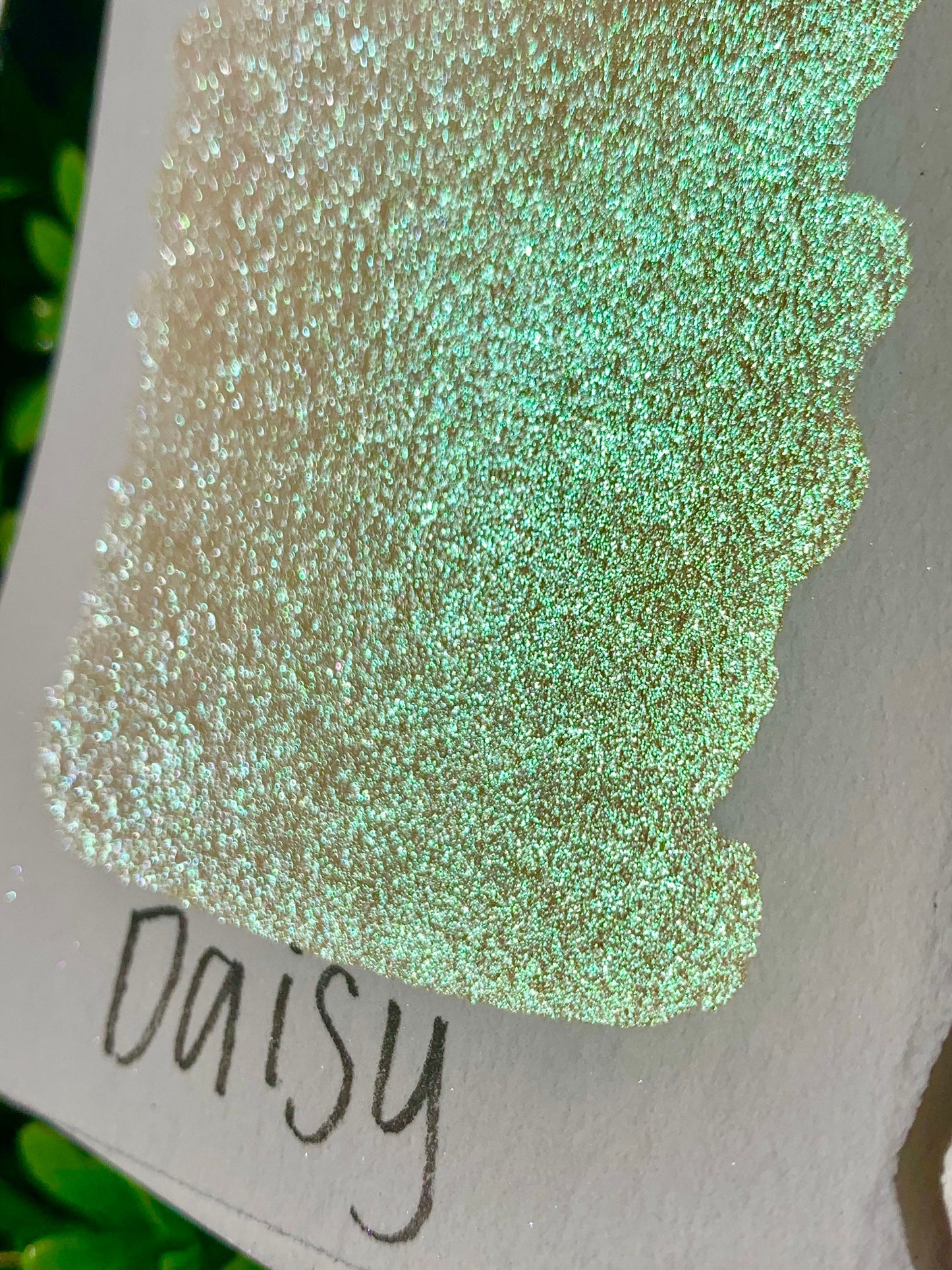 Daisy | Handmade Watercolors | Handmade Paint | Watercolors | Watercolor Artist | Handmade Cards | Calligraphy | Lettering