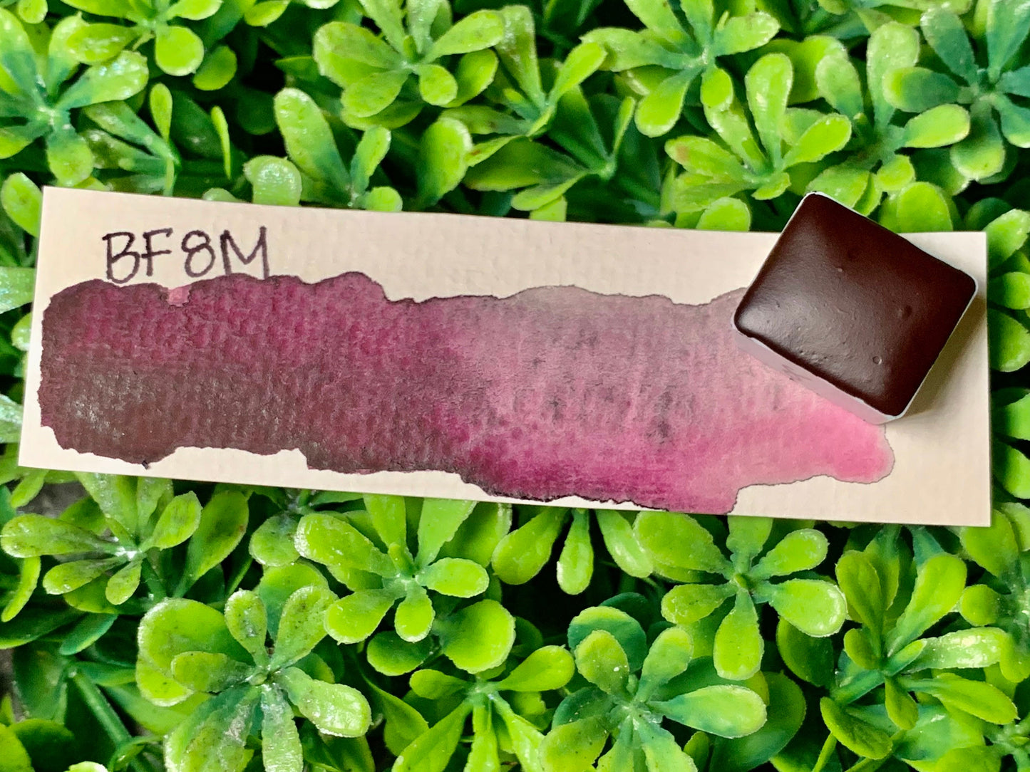 BF8M | Handmade Watercolors | GRANULATING | Handmade Cards | Watercolor Florals | Matte Pigment | Half Pans