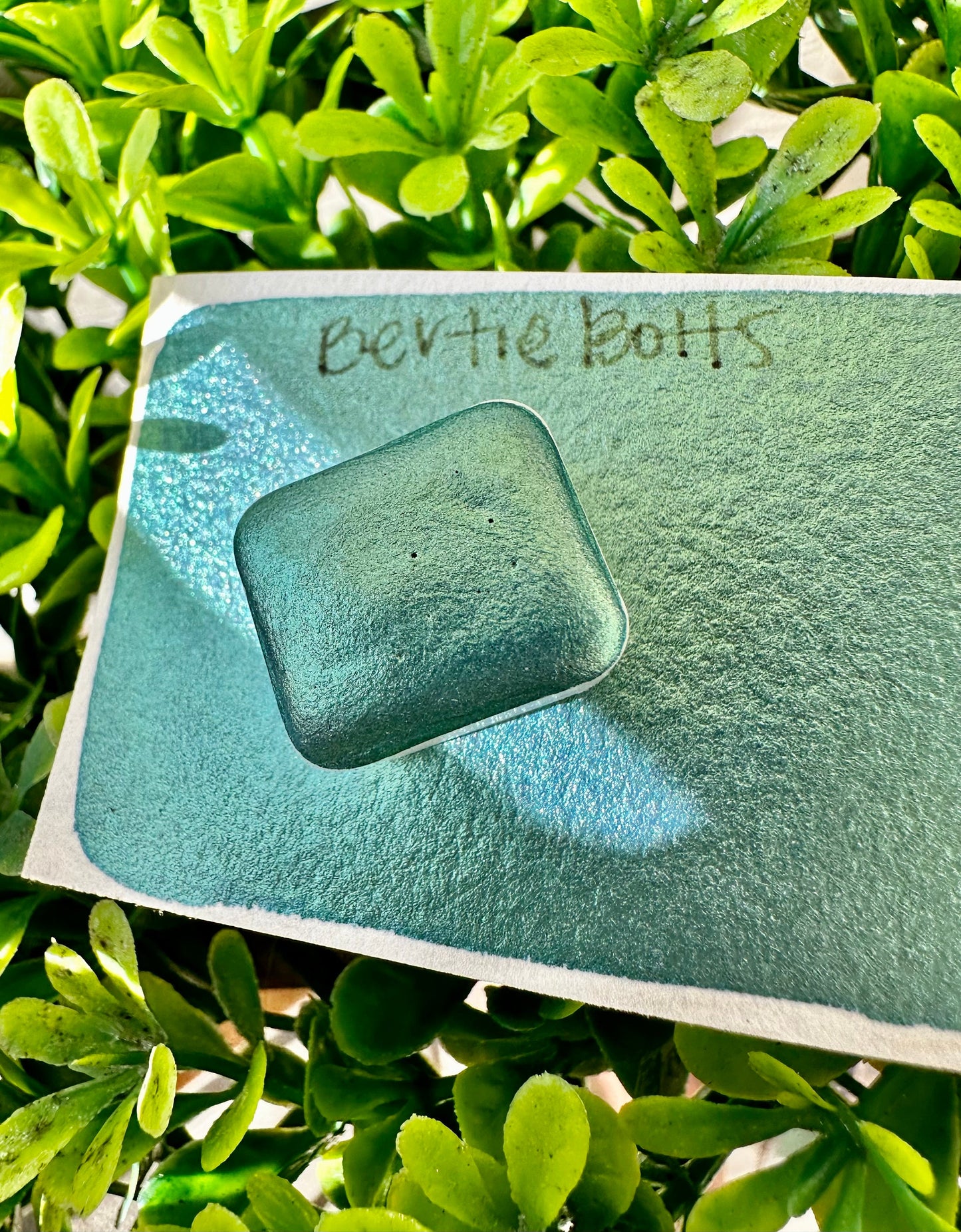 Bertie Botts | Handmade Watercolors | Handmade Paint | Watercolors | Watercolor | Watercolor Artist