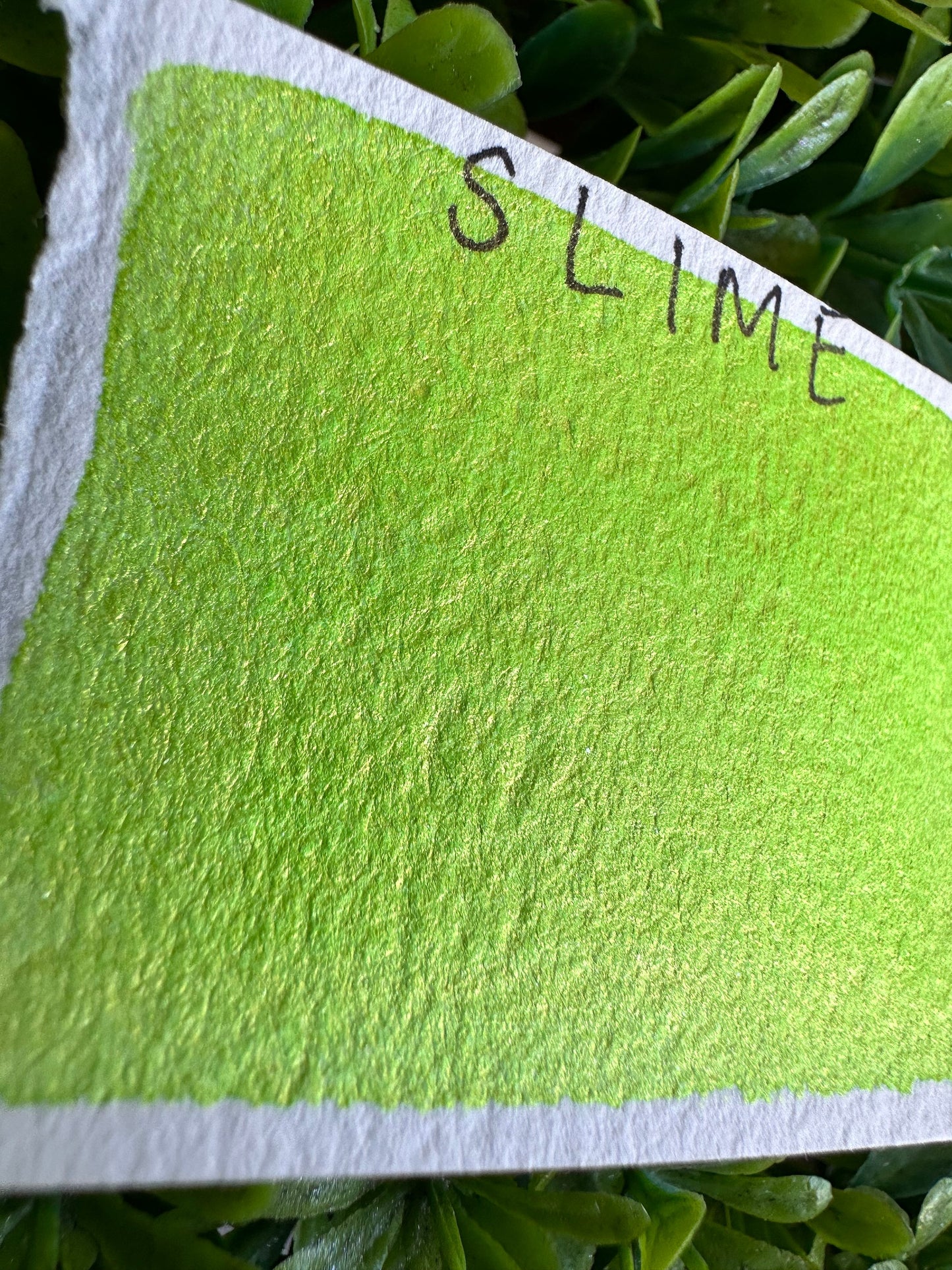SLIME | Handmade Watercolors | Handmade Paint | Watercolors | Watercolor | Handmade Cards |