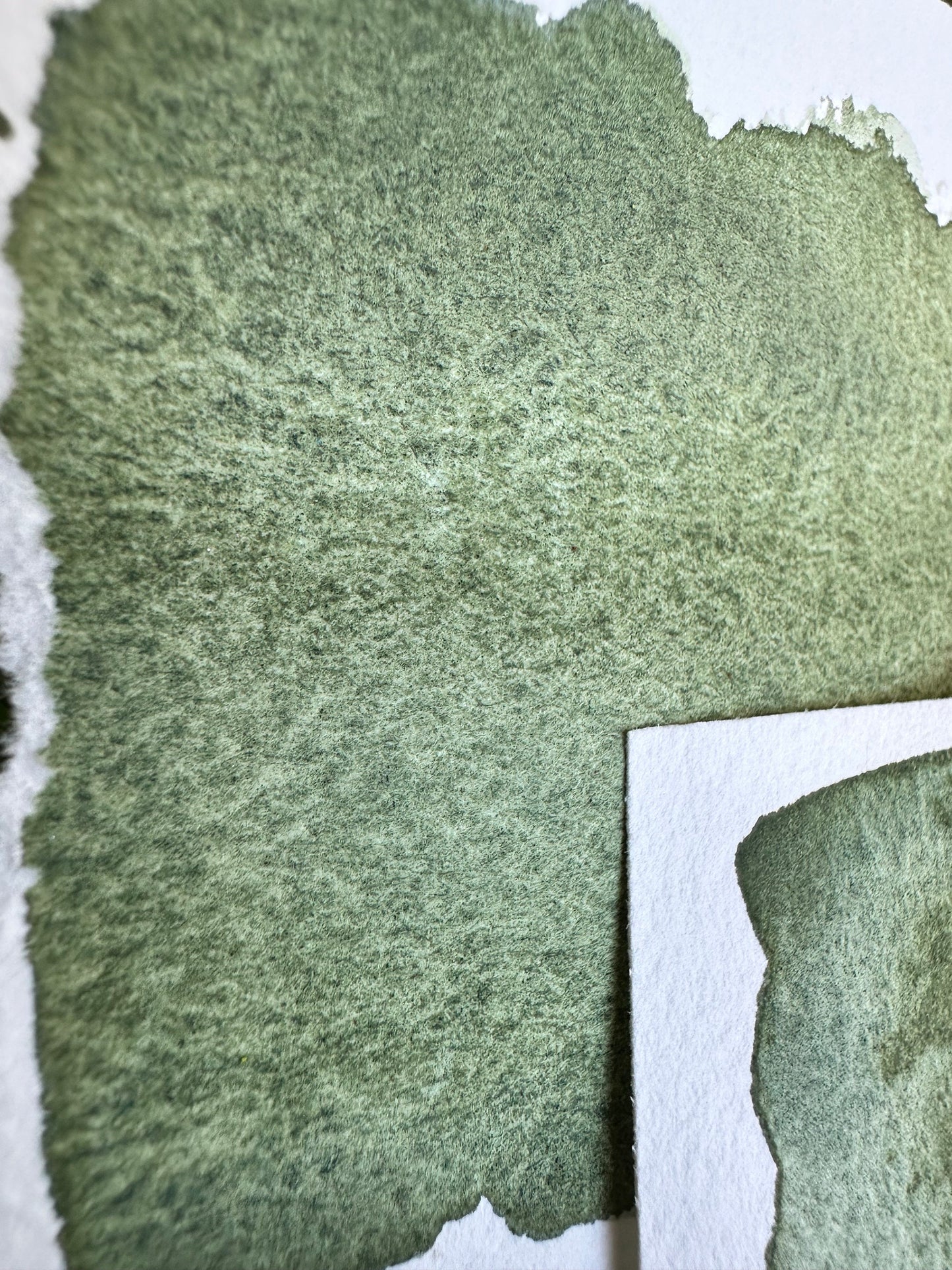 Bushy | Granulation | Handmade Watercolors | Handmade Paint | Watercolors | Watercolor Artist | Granulating Watercolor