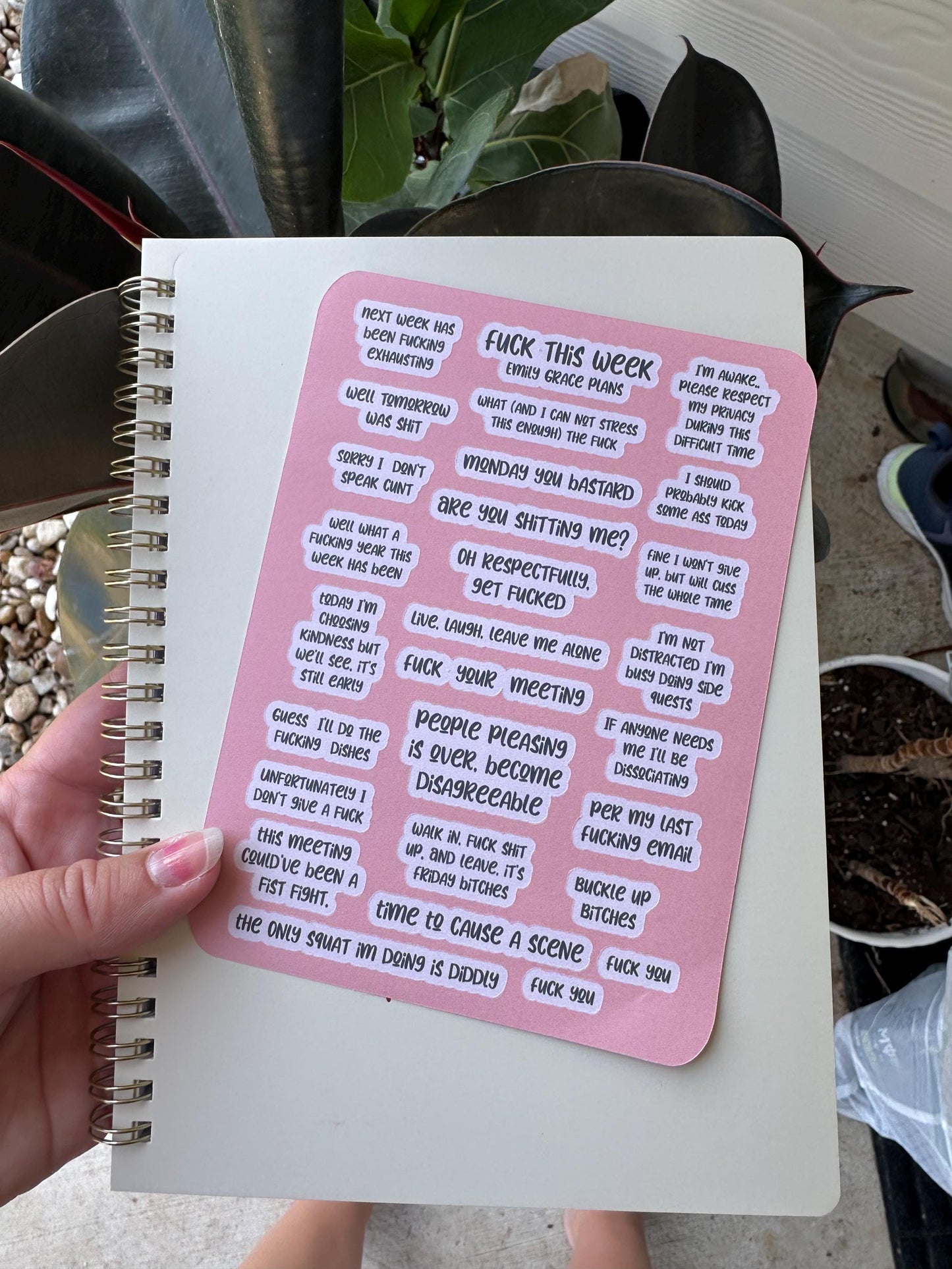 F*** This Week - Snarky Sticker Sheet - Embrace Your Inner Sass! Planner stickers, planner embellishments, curse words, dark humor