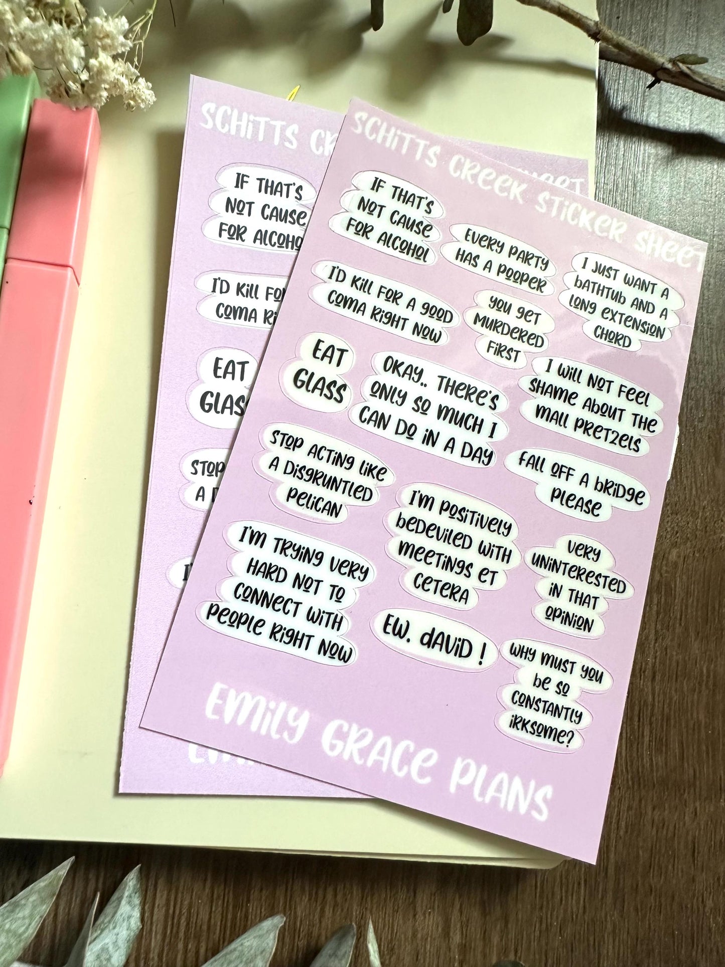Schit-ts Creek - **B GRADE Sheet** - Embrace Your Inner Sass! Planner stickers, planner embellishments, curse words, dark humor, David Rose