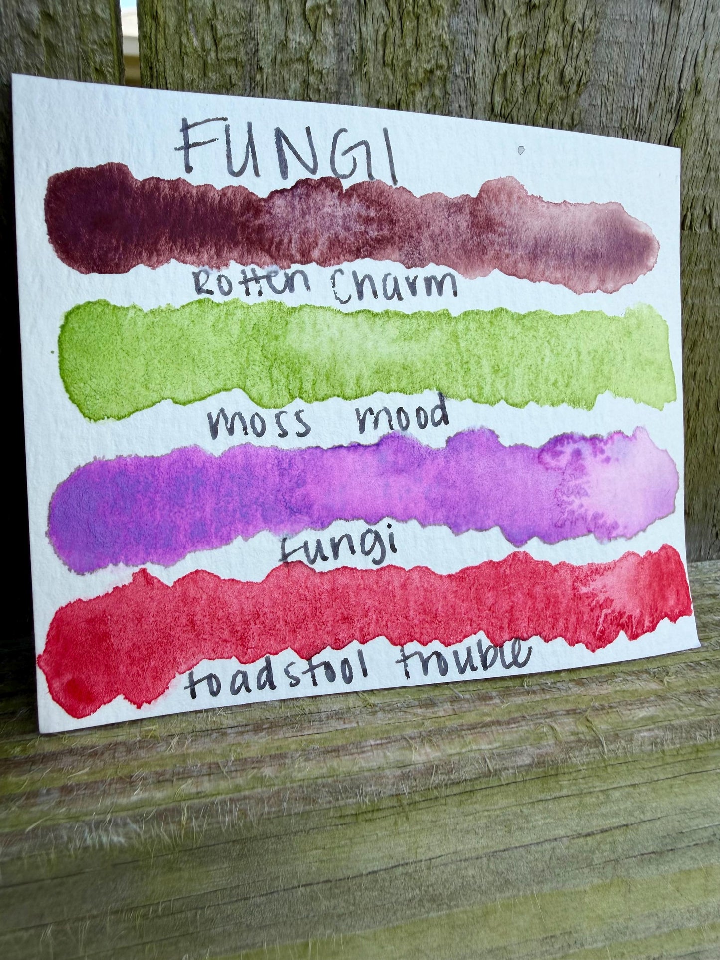 Fungi Collection| Granulating Matte Watercolor Sets | Sets OR Singles Available | Handmade Paints