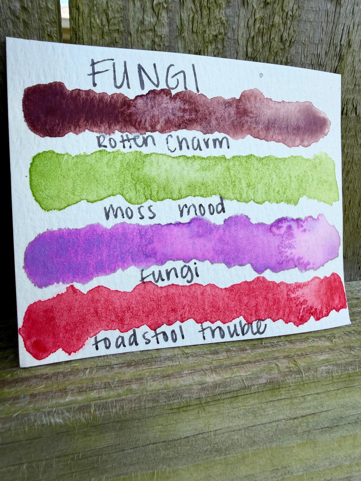 Fungi Collection| Granulating Matte Watercolor Sets | Sets OR Singles Available | Handmade Paints