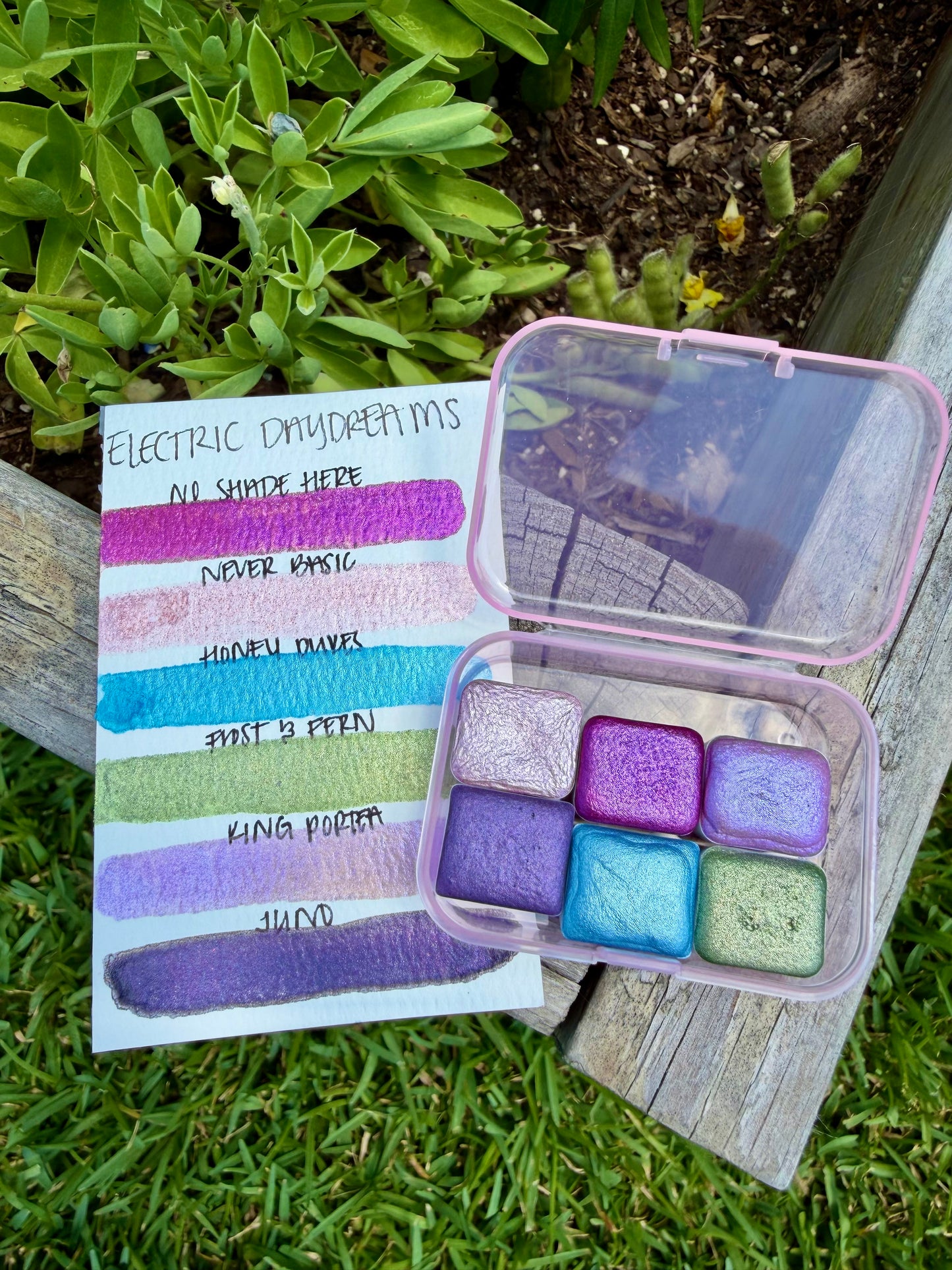 Electric Daydream Collection