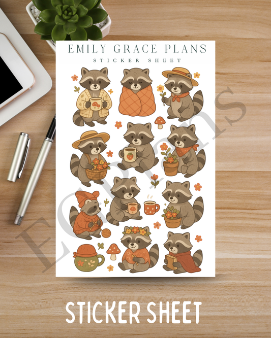 Fall Raccoons