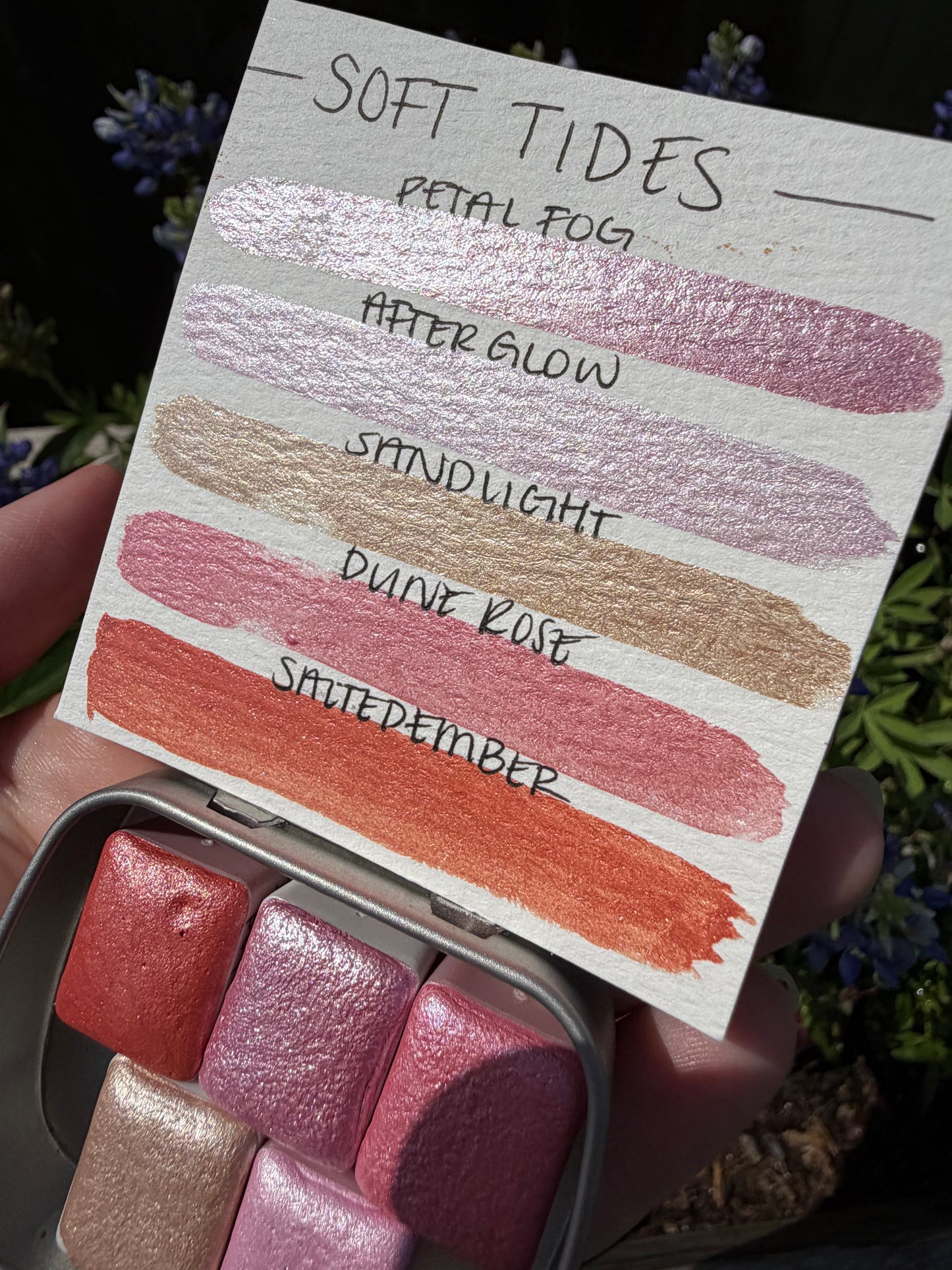 Soft Tides Collection!