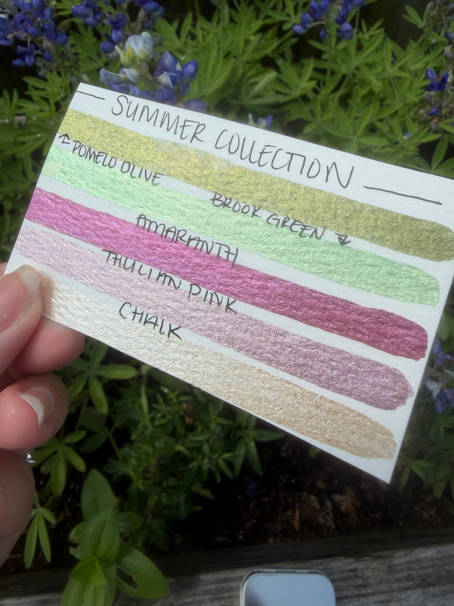 Summer Collection!