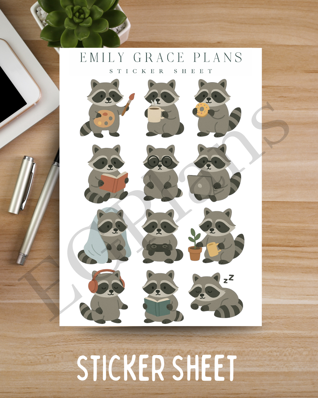Activity Raccoons