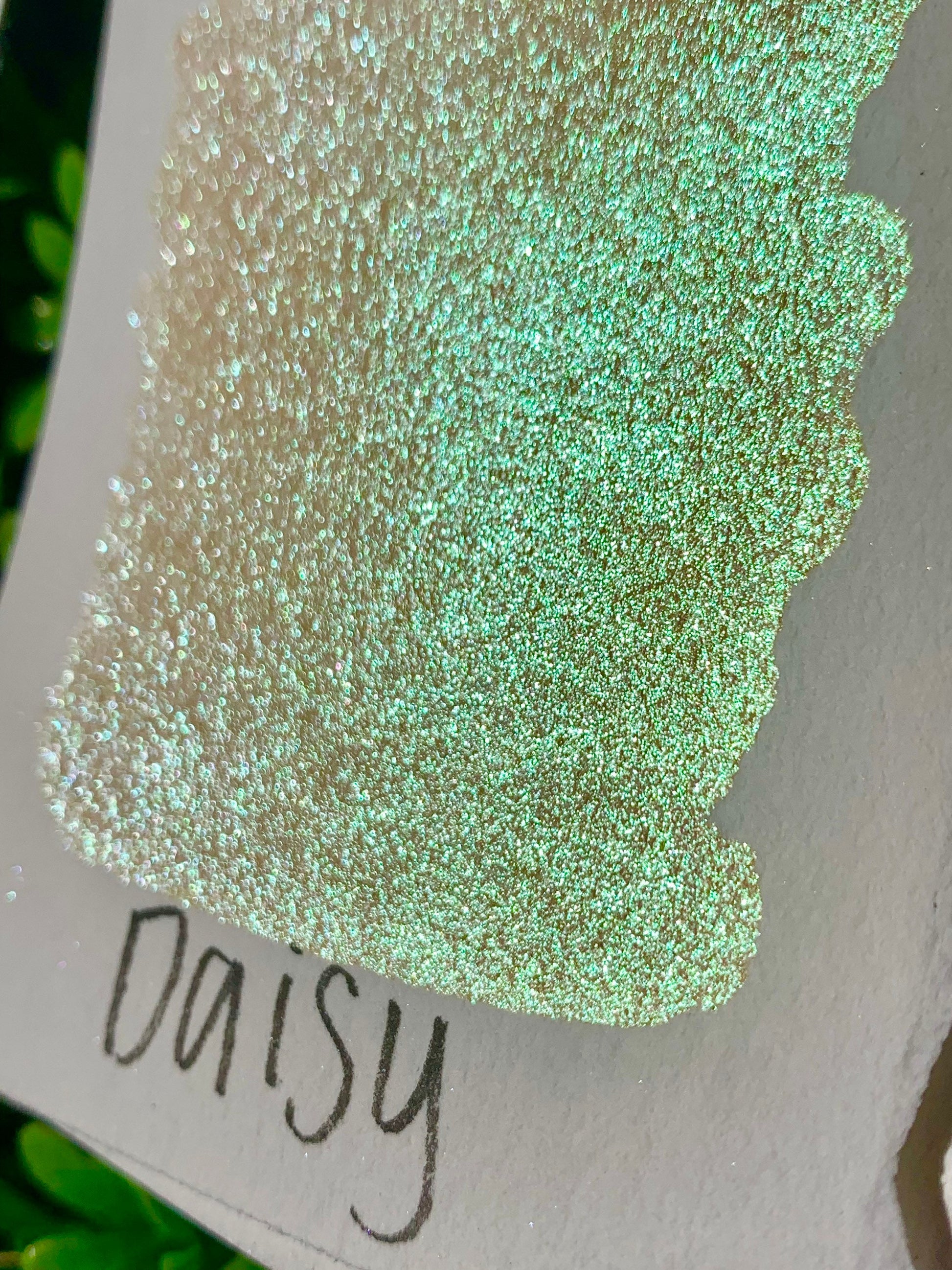 Daisy | Handmade Watercolors | Handmade Paint | Watercolors | Watercolor Artist | Handmade Cards | Calligraphy | Lettering