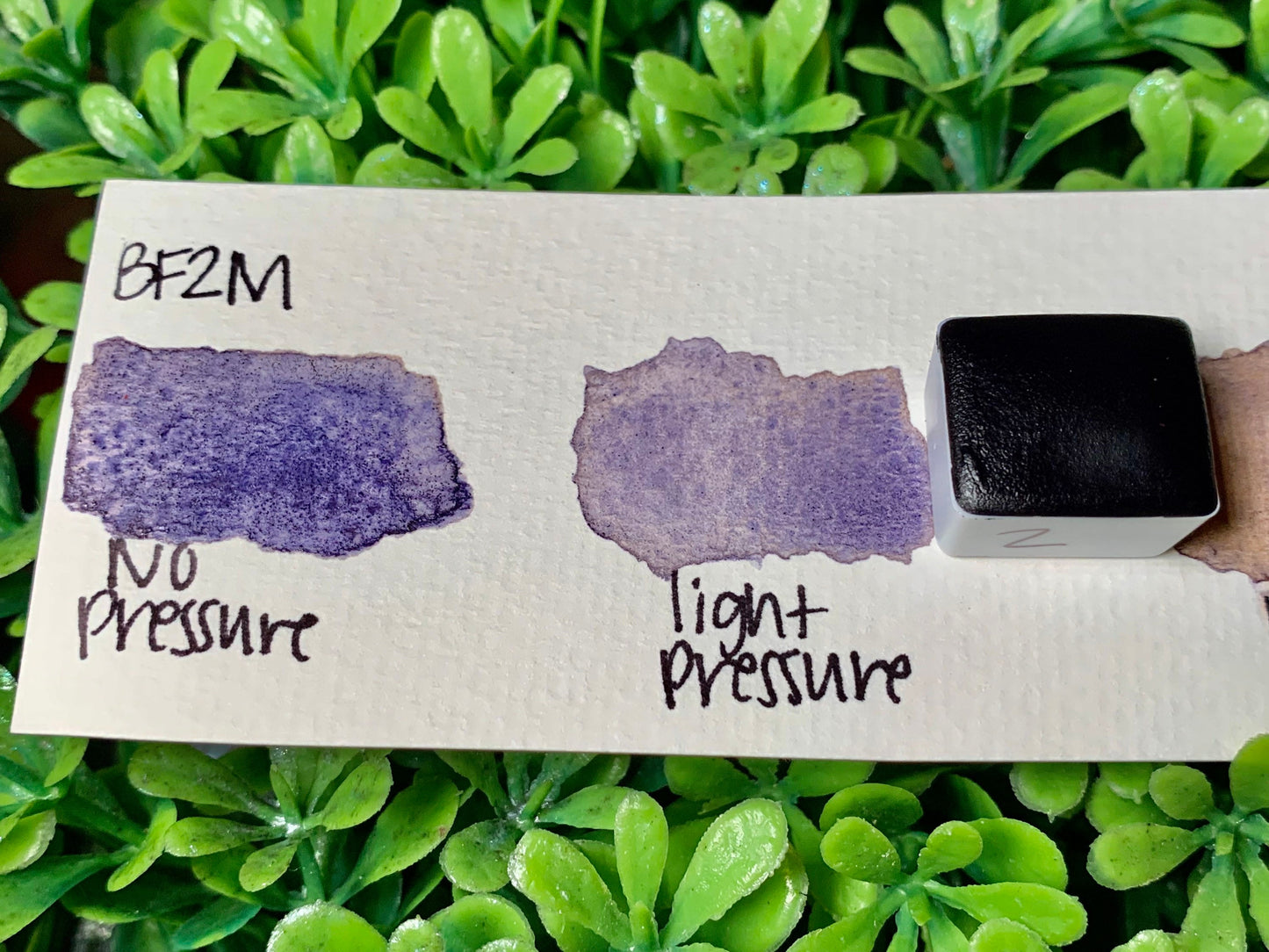 BF2M | Handmade Watercolors | GRANULATING | Handmade Cards | Watercolor Florals | Matte Pigment | Half Pans
