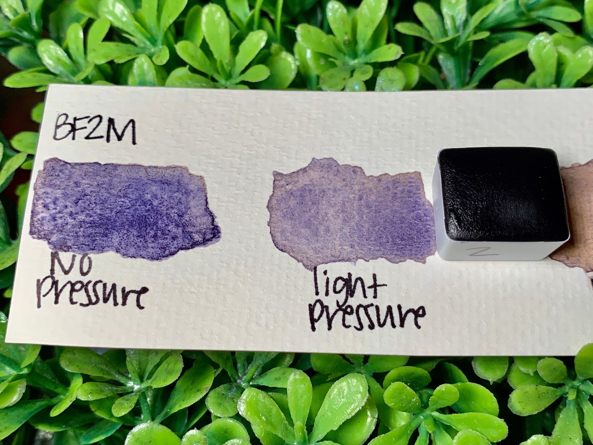 BF2M | Handmade Watercolors | GRANULATING | Handmade Cards | Watercolor Florals | Matte Pigment | Half Pans
