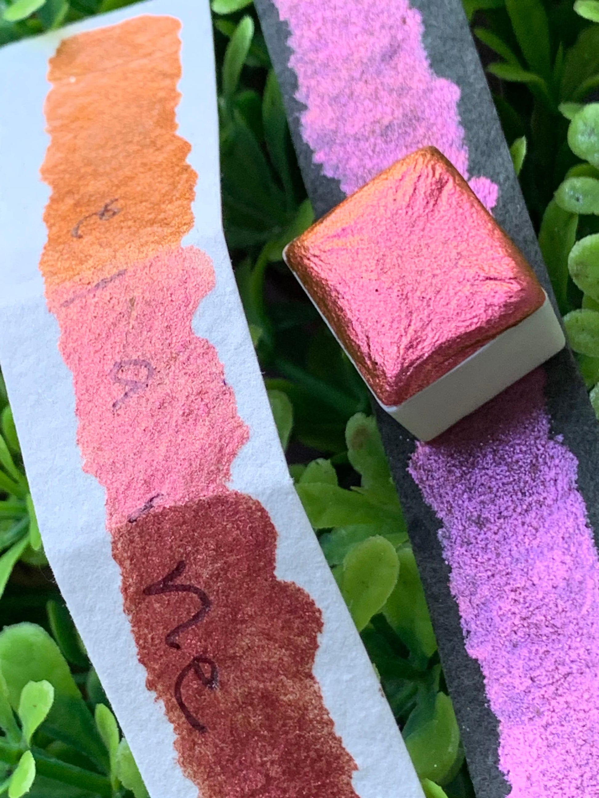Elaine | Handmade Watercolors | Handmade Paint | Calligraphy | Lettering |
