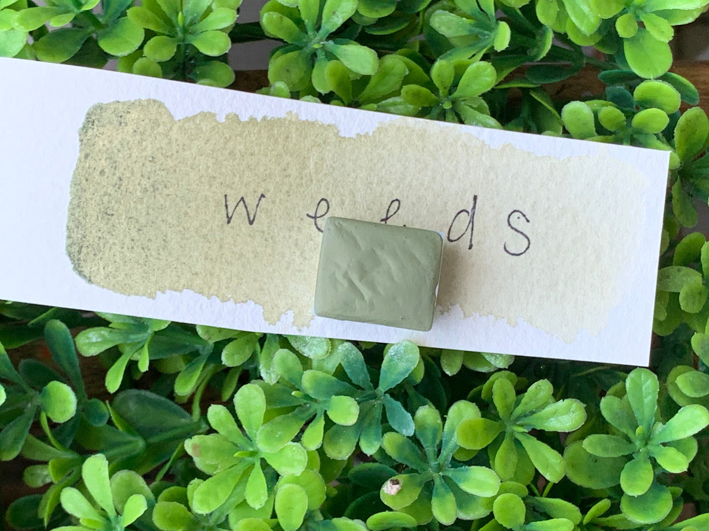 Weeds | Handmade Watercolors | Handmade Paint | Calligraphy | Lettering |