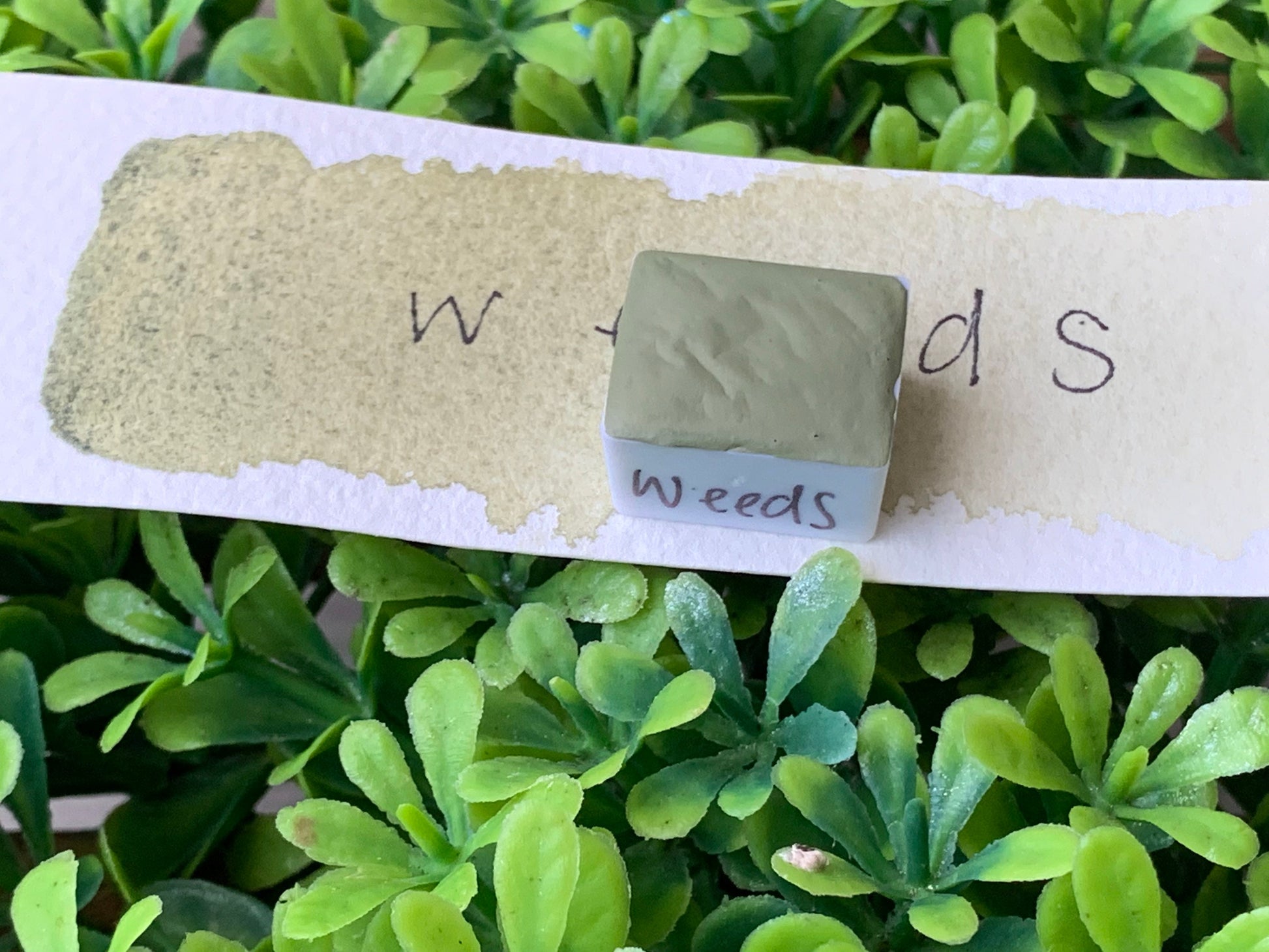 Weeds | Handmade Watercolors | Handmade Paint | Calligraphy | Lettering |