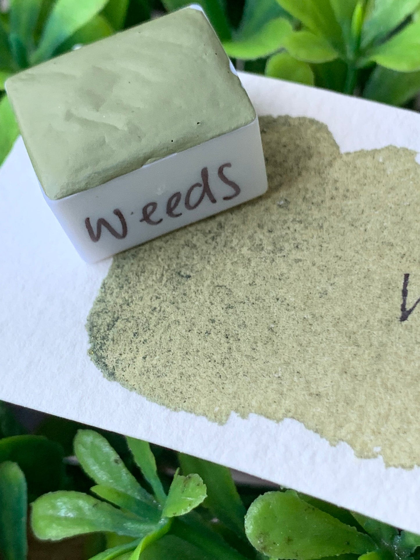 Weeds | Handmade Watercolors | Handmade Paint | Calligraphy | Lettering |