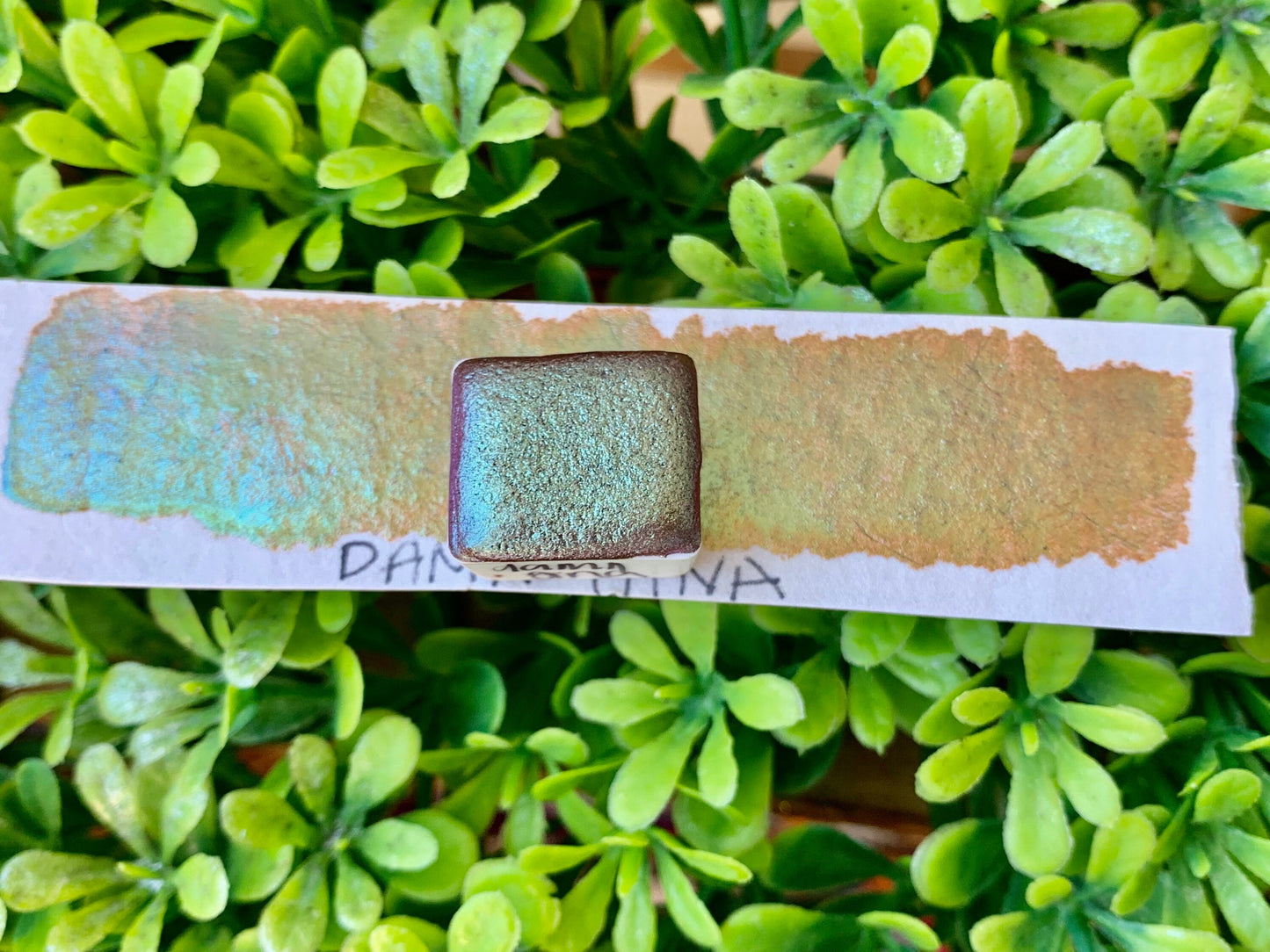 Damn Gina | Handmade Watercolors | Handmade Paint | Calligraphy | Lettering |