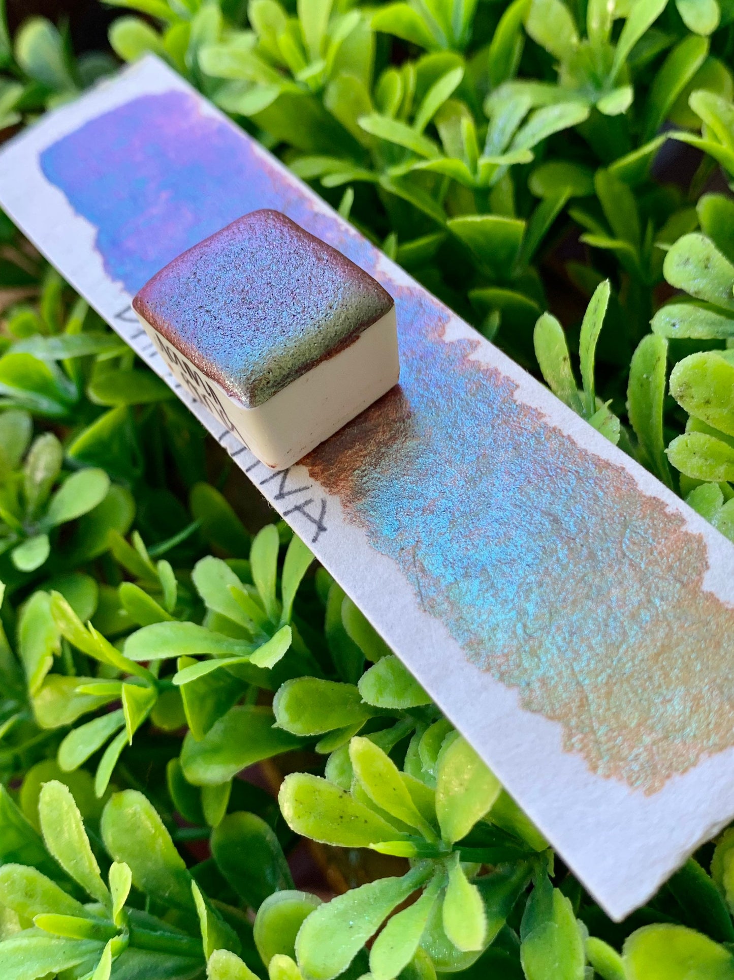 Damn Gina | Handmade Watercolors | Handmade Paint | Calligraphy | Lettering |
