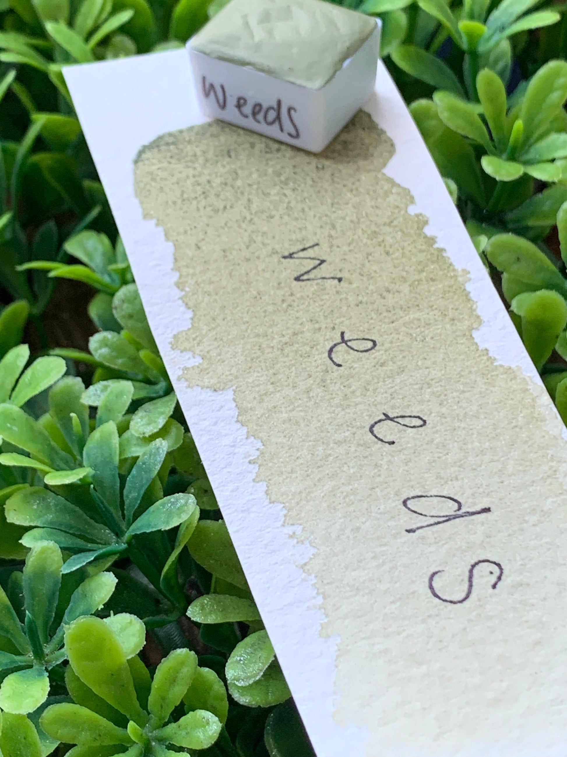 Weeds | Handmade Watercolors | Handmade Paint | Calligraphy | Lettering |