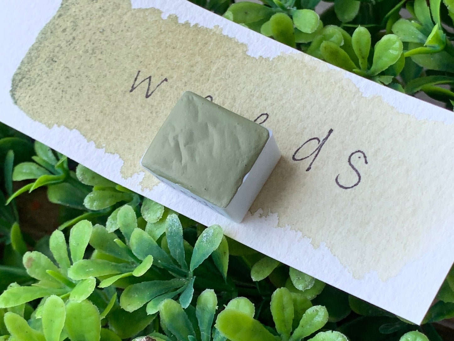 Weeds | Handmade Watercolors | Handmade Paint | Calligraphy | Lettering |