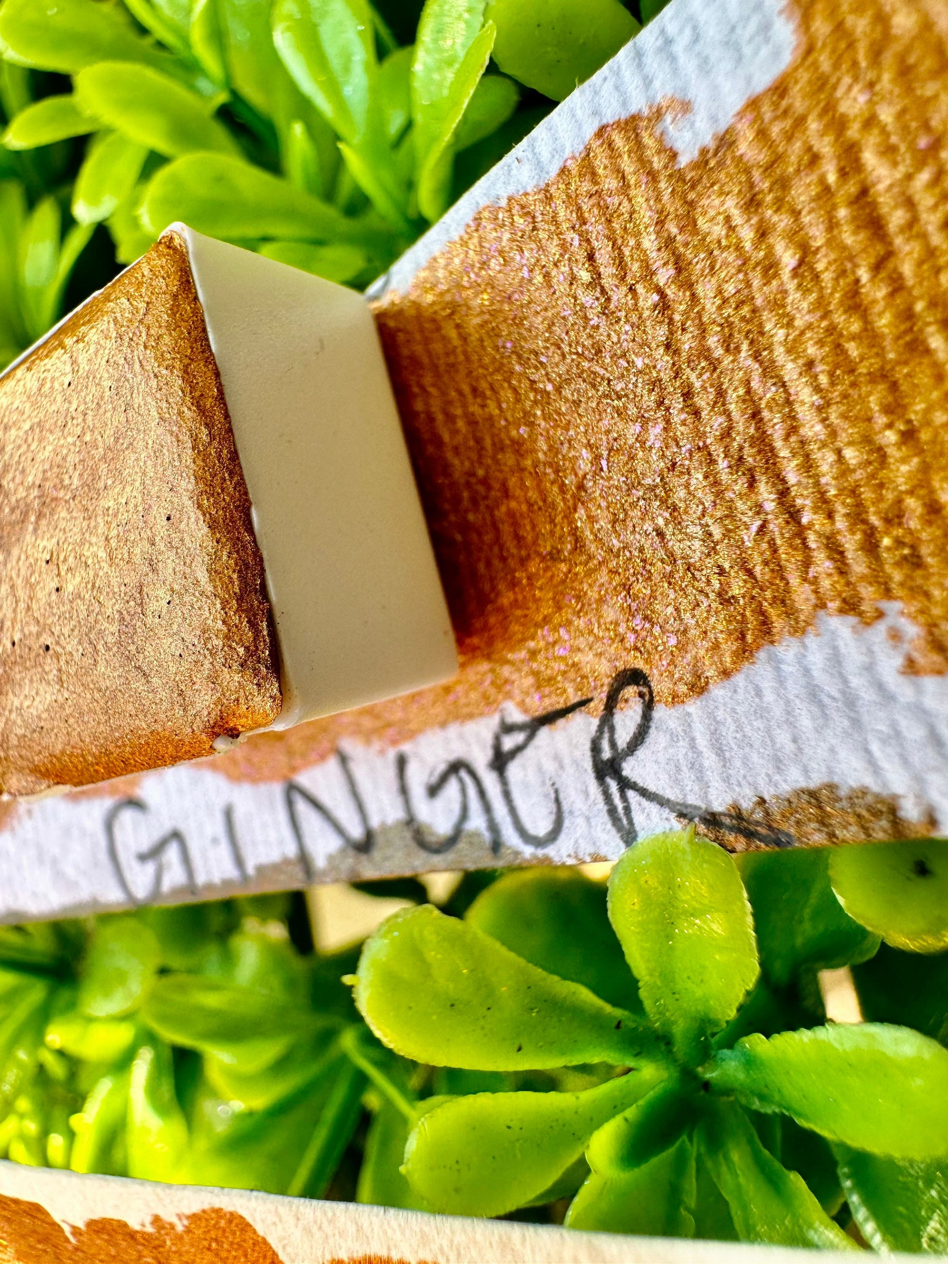 Ginger | Handmade Watercolors | Handmade Paint | Watercolors | Watercolor | Watercolor Artist