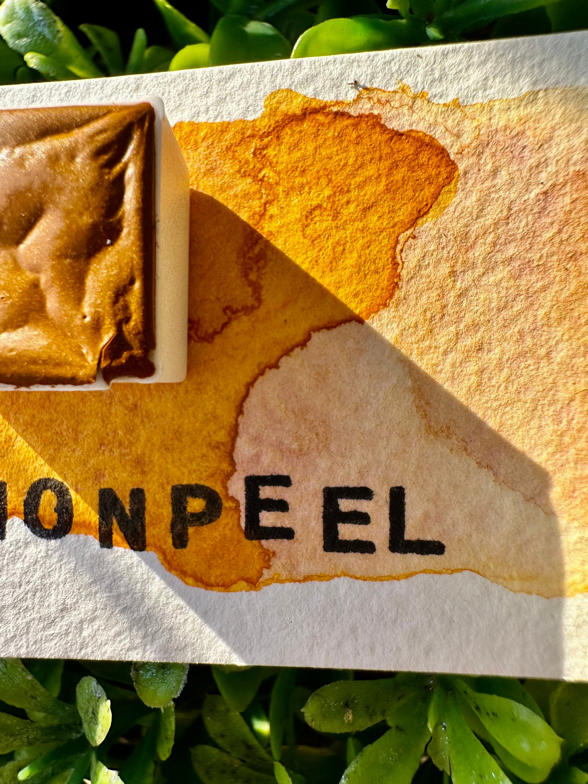 Lemon Peel | Handmade Watercolors | Granulating | Handmade Cards | Watercolor Florals | Matte Pigment | Half Pans | Orange