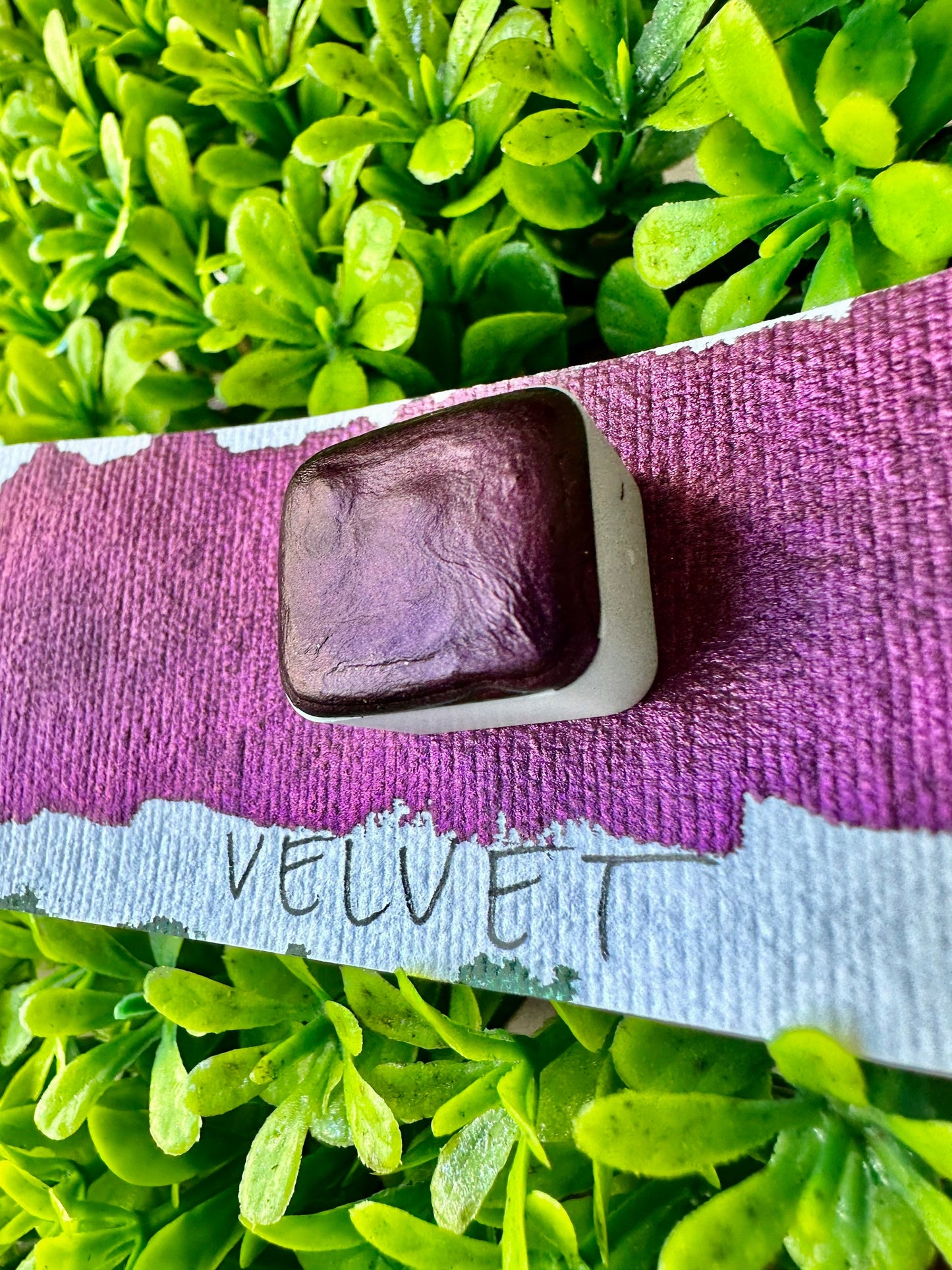 Velvet | Handmade Watercolors | Handmade Paint | Watercolors | Watercolor | Watercolor Artist