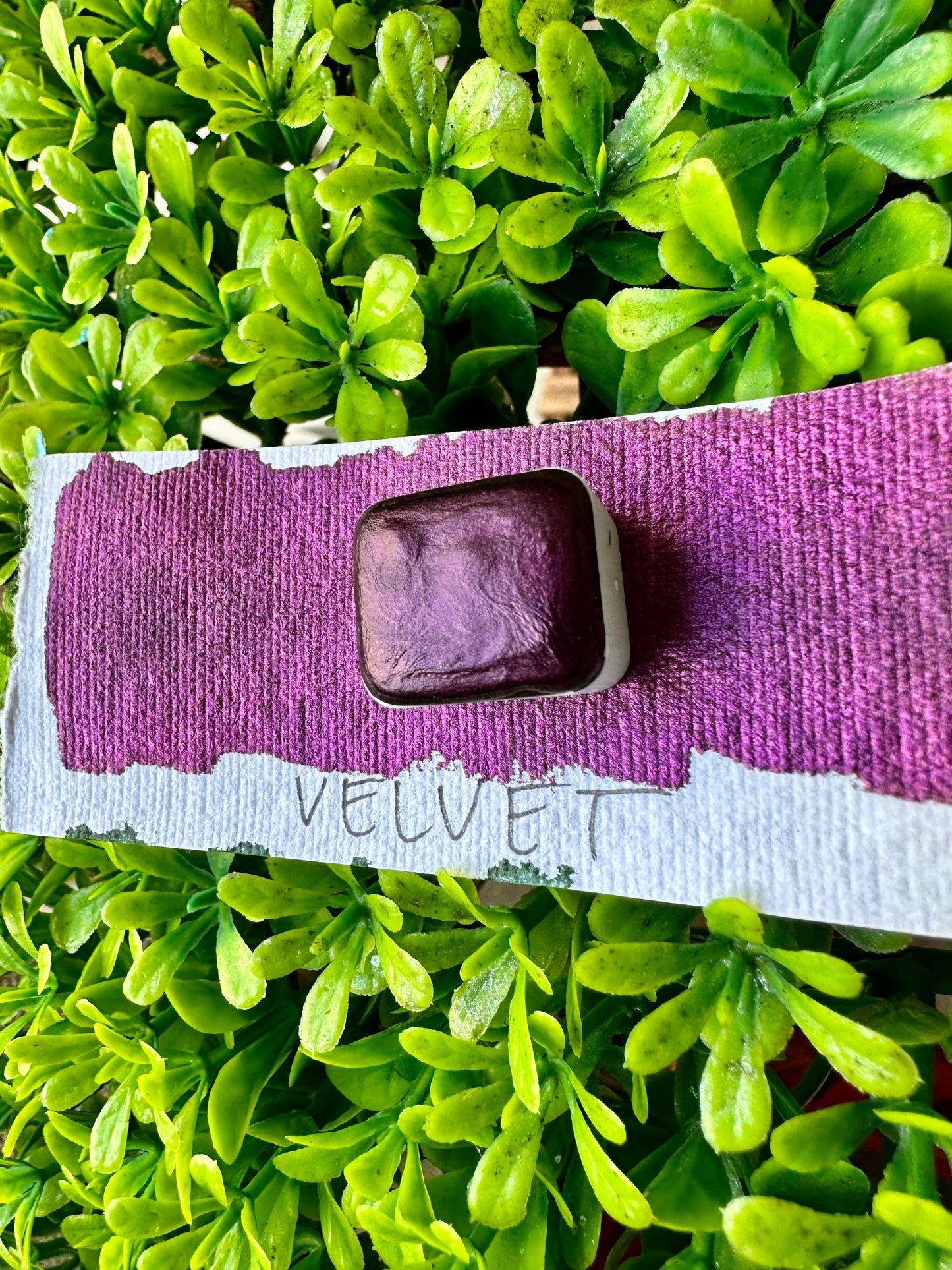Velvet | Handmade Watercolors | Handmade Paint | Watercolors | Watercolor | Watercolor Artist