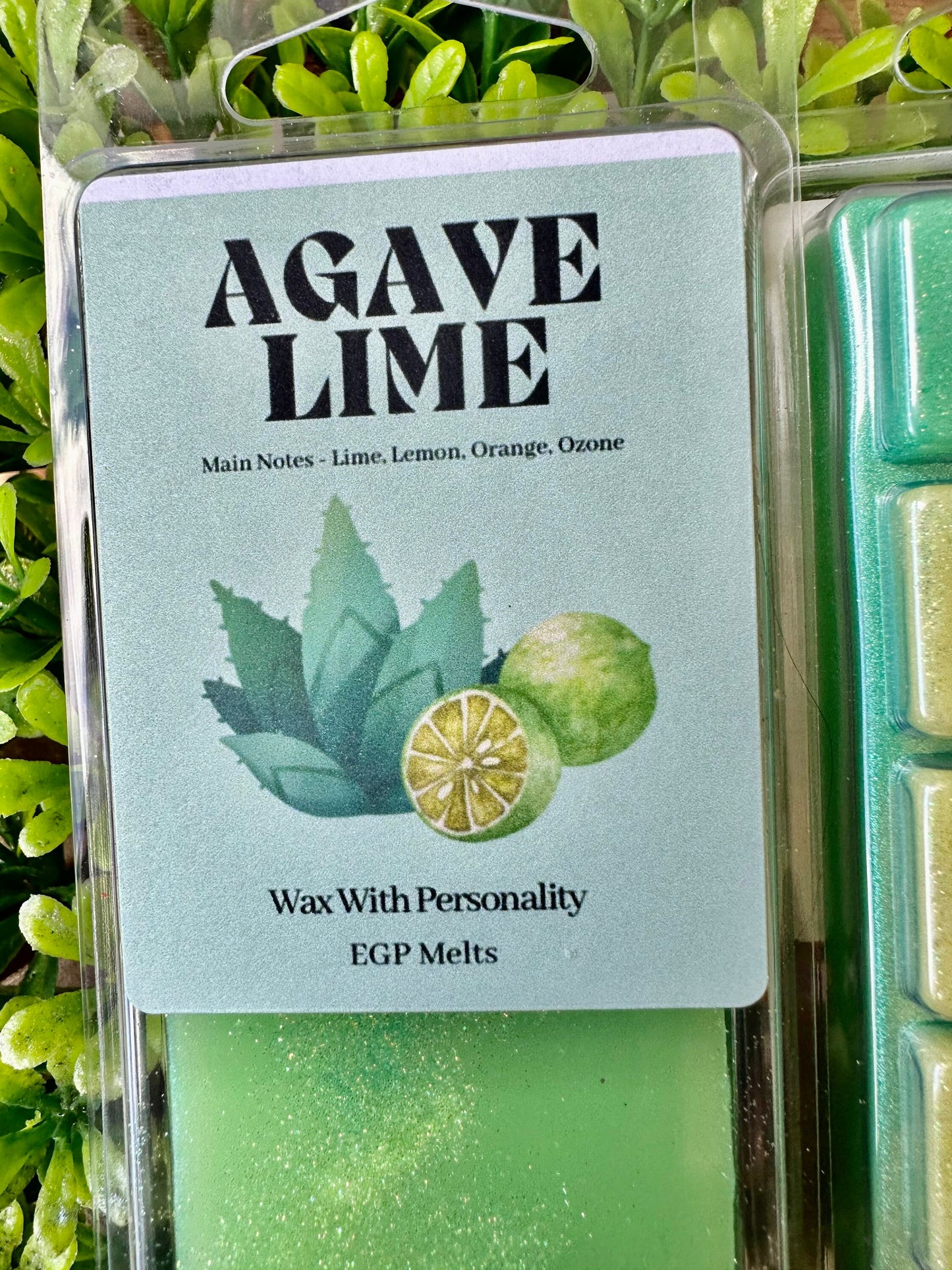 Agave Lime EGP Melts | Fresh Scented Melts | Snap Bar | Wax Melt | Wax With Personality |