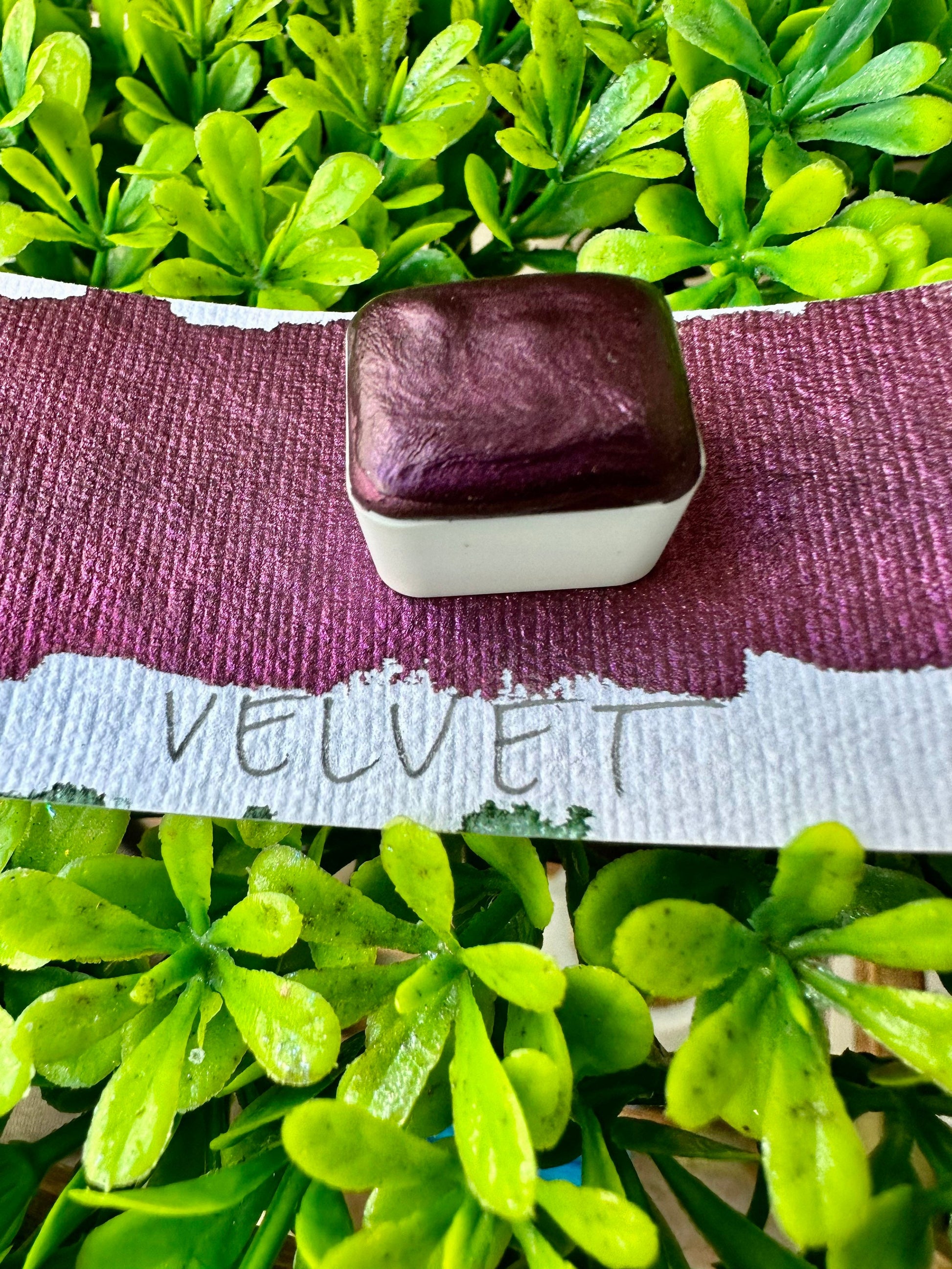 Velvet | Handmade Watercolors | Handmade Paint | Watercolors | Watercolor | Watercolor Artist