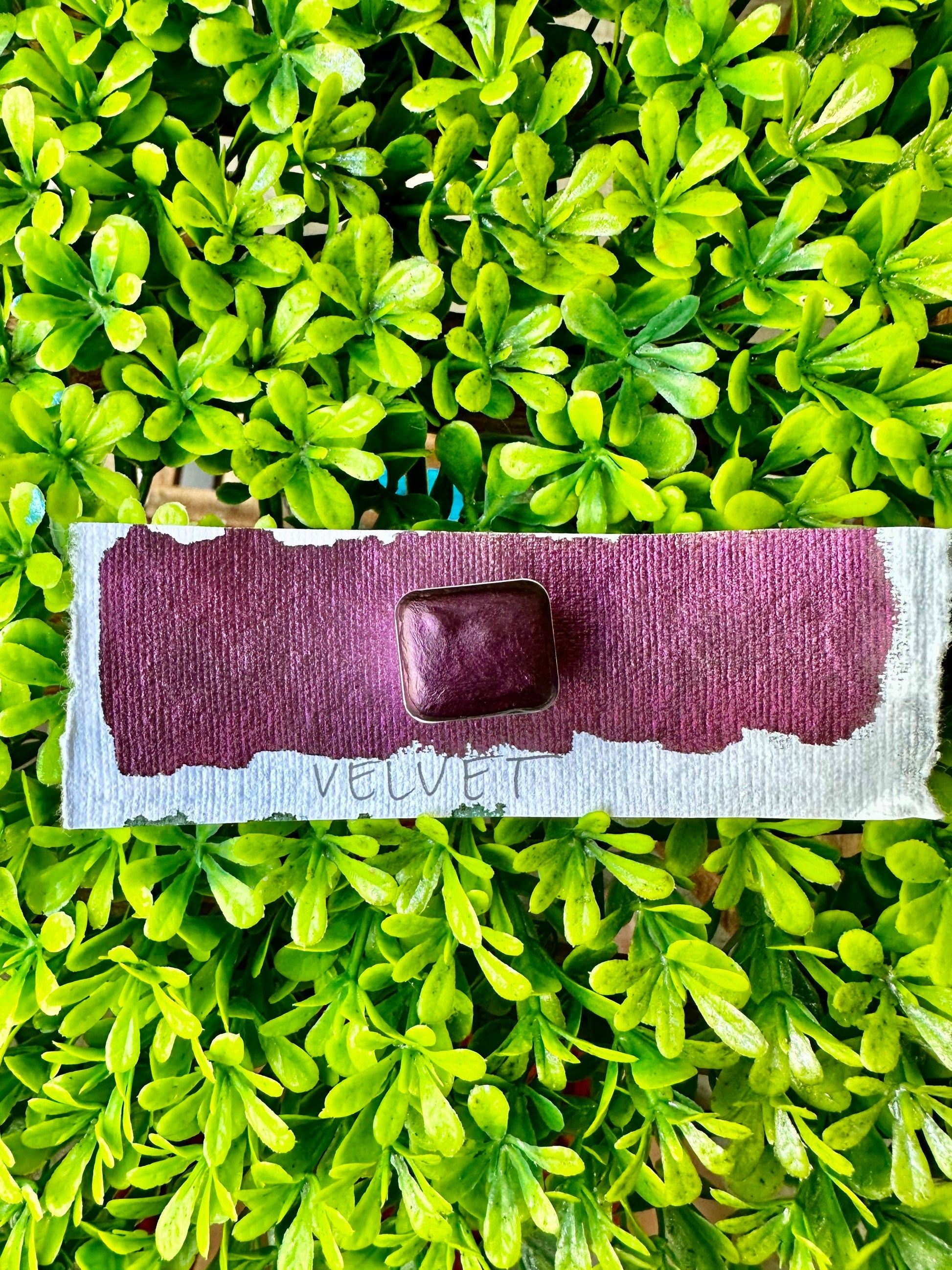 Velvet | Handmade Watercolors | Handmade Paint | Watercolors | Watercolor | Watercolor Artist