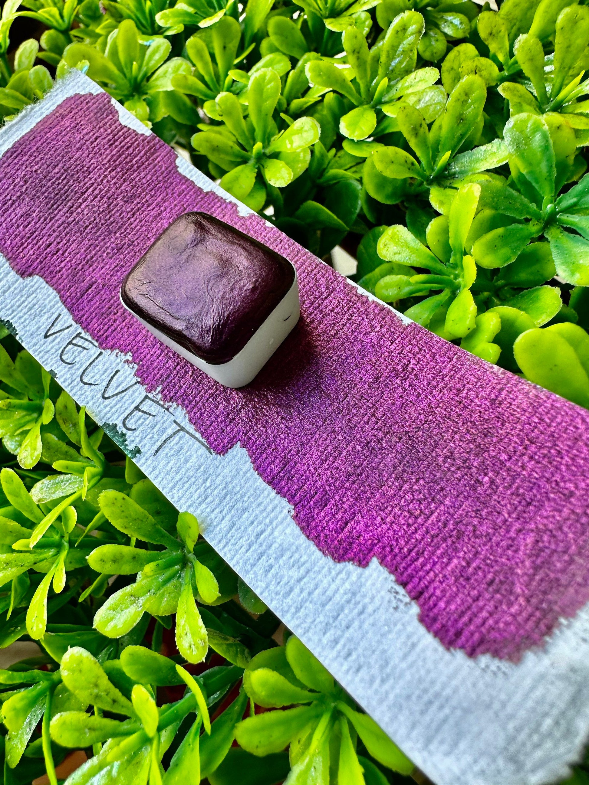 Velvet | Handmade Watercolors | Handmade Paint | Watercolors | Watercolor | Watercolor Artist