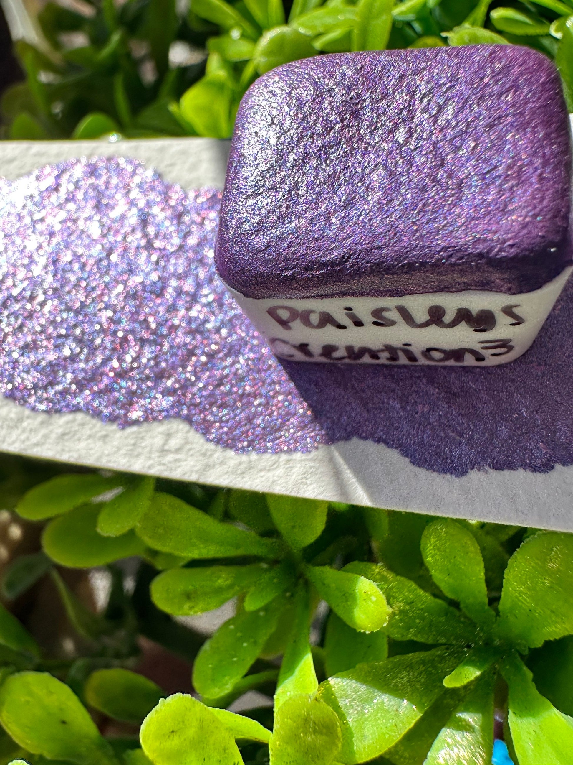 Paisleys Creation 3.0 | Handmade Watercolors | Handmade Paint | Watercolors | Watercolor | LIMITED EDITION | Watercolor Artist