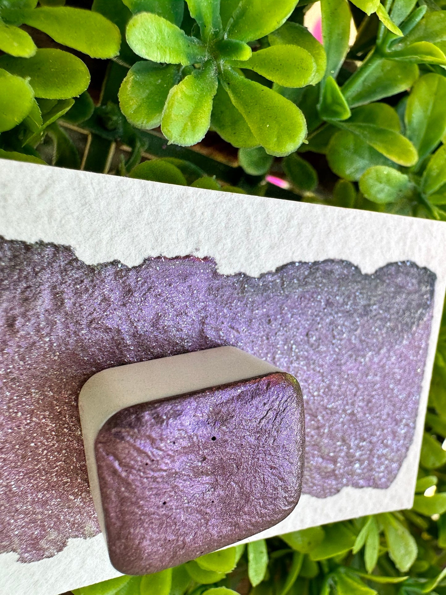 Paisleys Creation 6.0 | Handmade Watercolors | Handmade Paint | Watercolors | Watercolor | LIMITED EDITION | Watercolor Artist