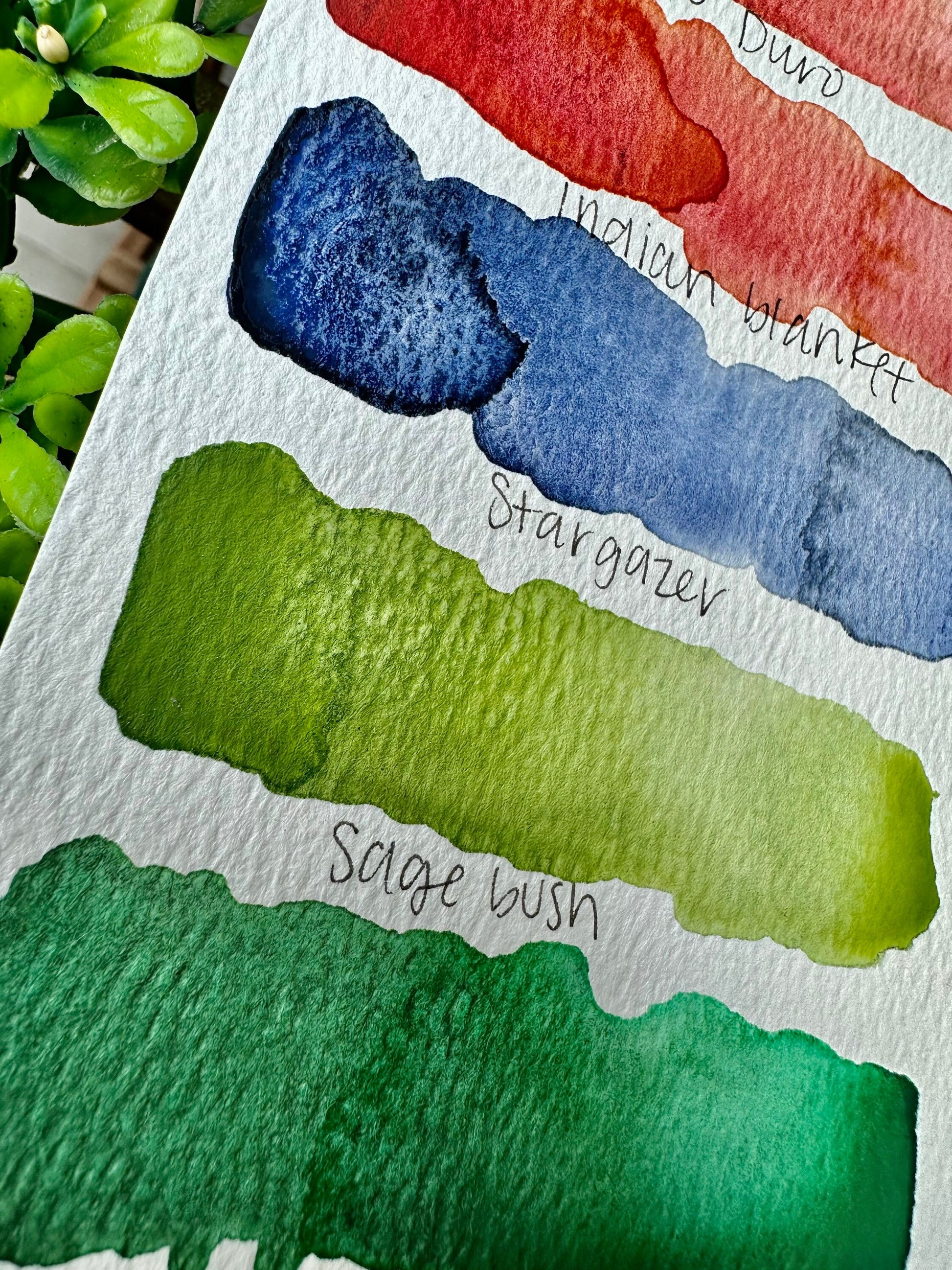 Canyon Series designed by Handofbelapeck | Handmade Watercolors | GRANULATING | Handmade Cards | Watercolor Florals | Matte Pigment