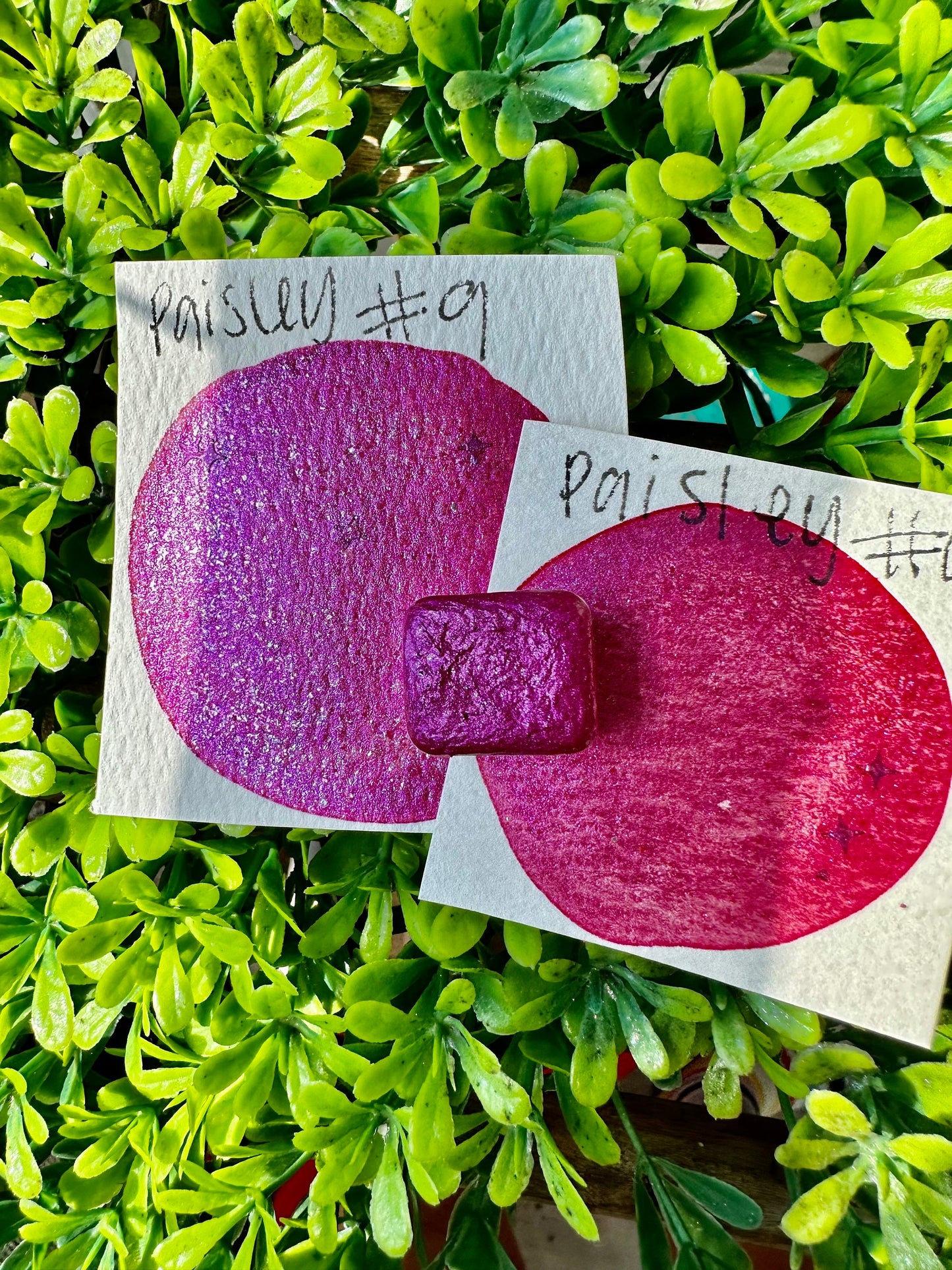 Paisleys Creation 9.0 | Handmade Watercolors | Handmade Paint | Watercolors | Watercolor | LIMITED EDITION | Watercolor Artist