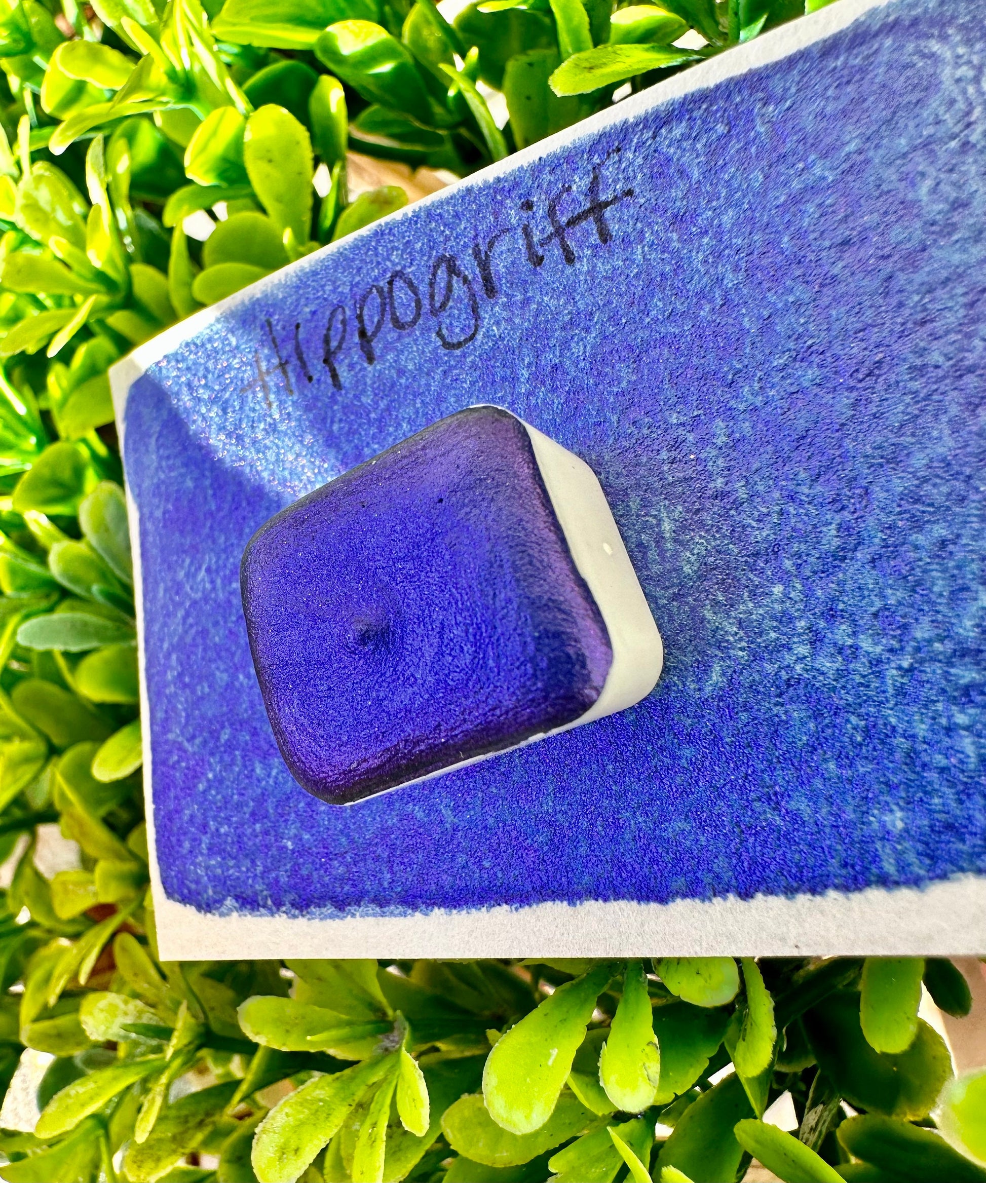 Hippogrif | Handmade Watercolors | Handmade Paint | Watercolors | Watercolor | Watercolor Artist
