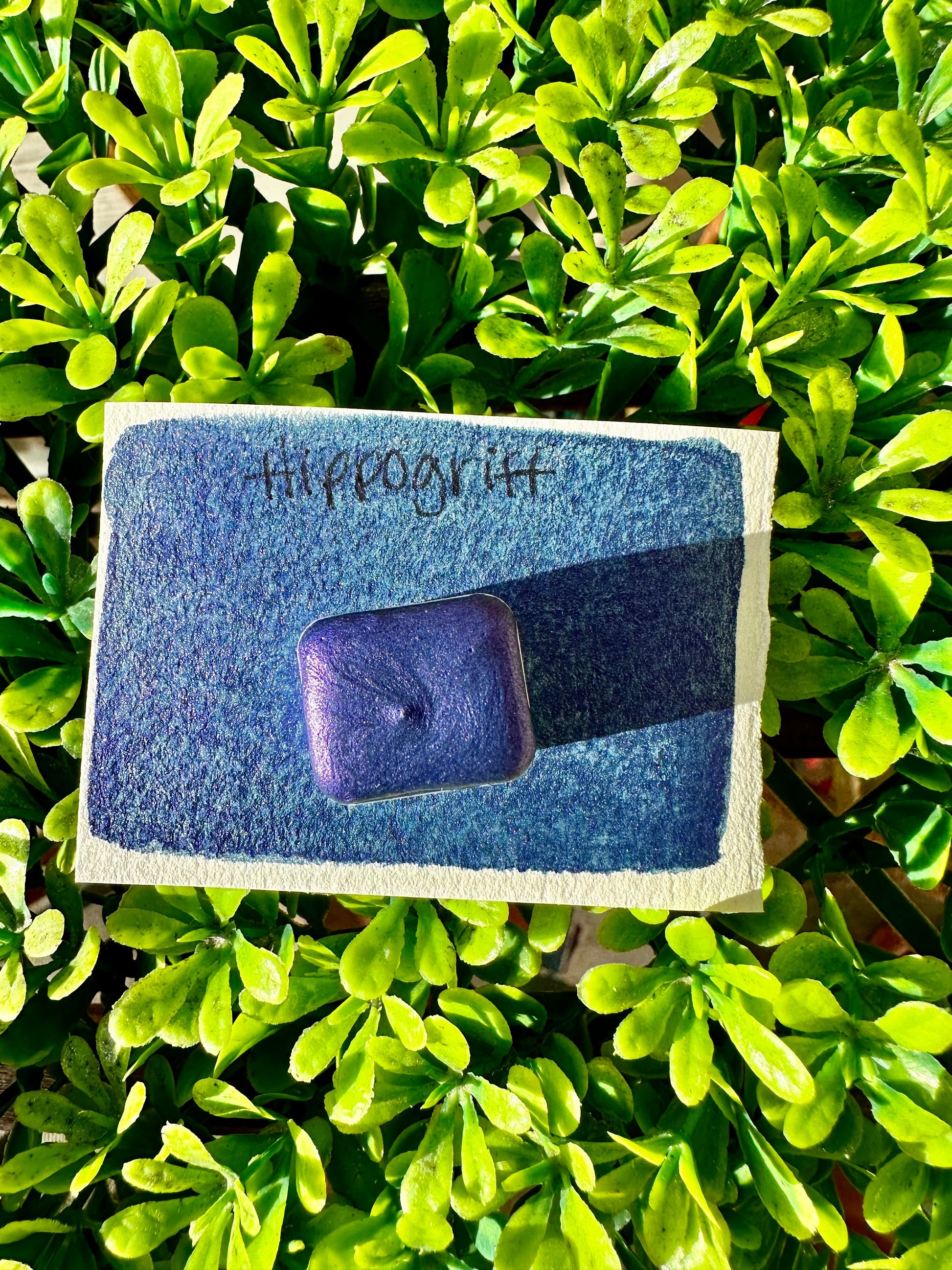 Hippogrif | Handmade Watercolors | Handmade Paint | Watercolors | Watercolor | Watercolor Artist
