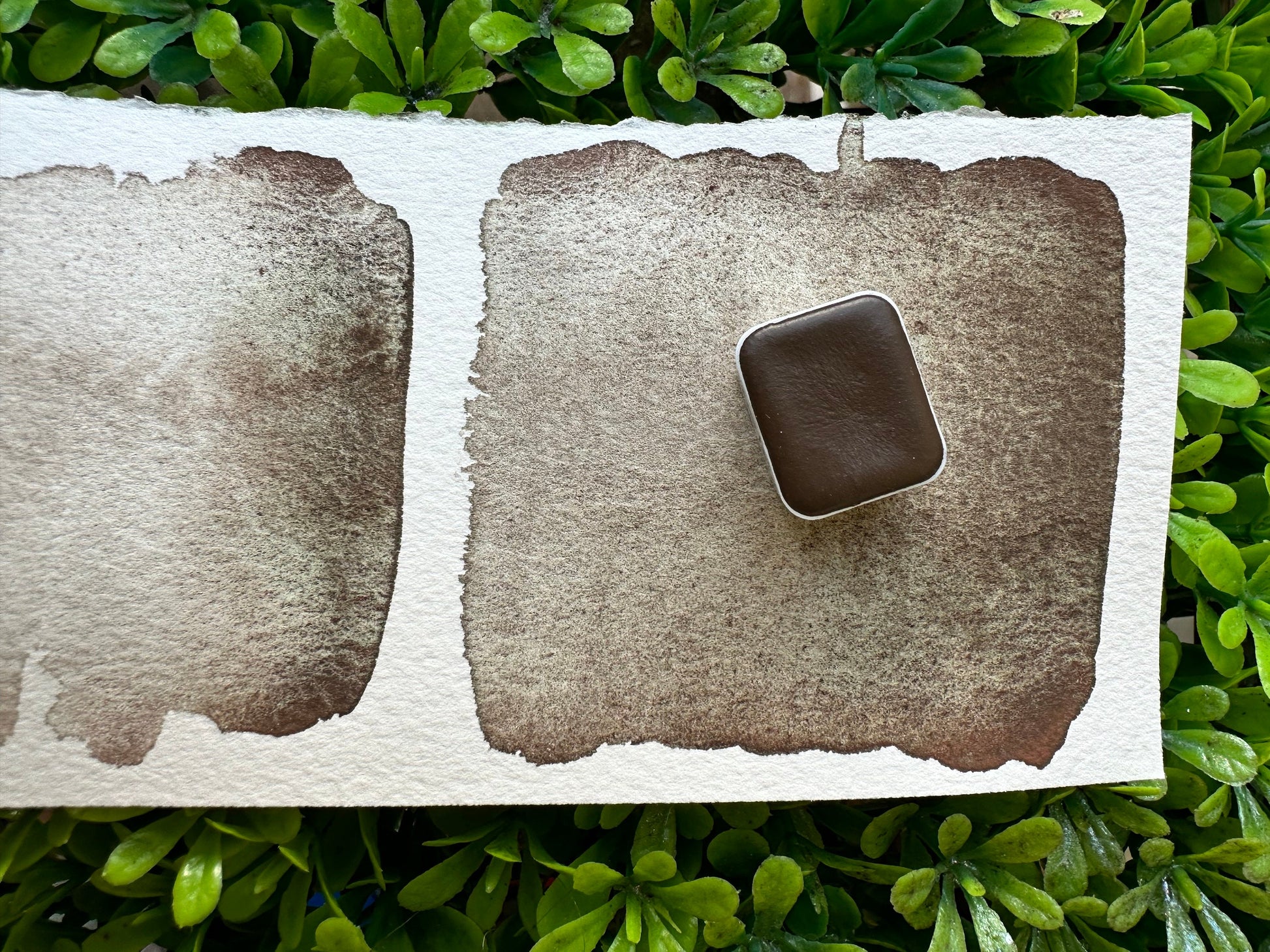 Tootsie | Handmade Watercolors | Handmade Paint | Watercolors | Watercolor | Watercolor Artist