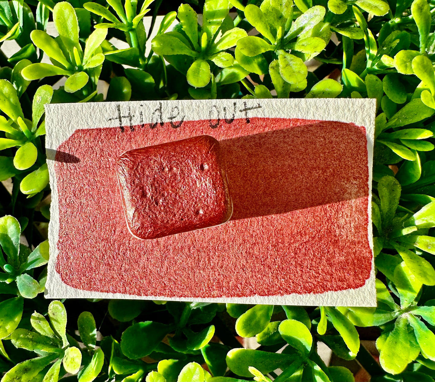 Hide Out | Handmade Watercolors | Handmade Paint | Watercolors | Watercolor | Watercolor Artist