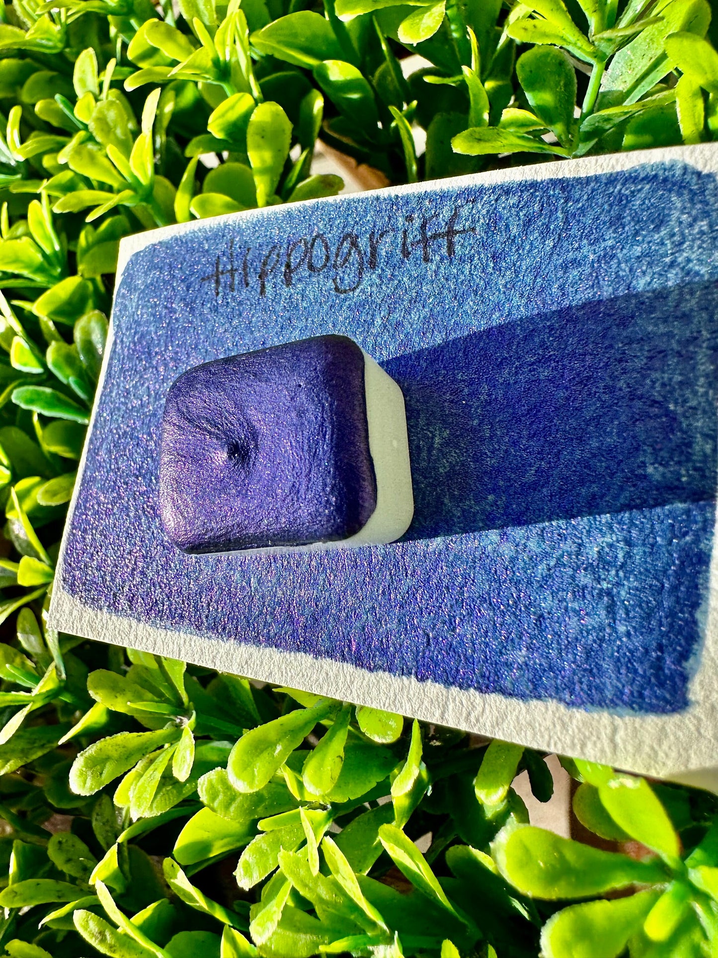 Hippogrif | Handmade Watercolors | Handmade Paint | Watercolors | Watercolor | Watercolor Artist