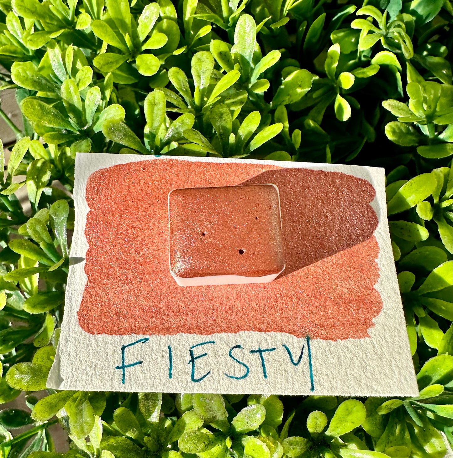 Feisty | Handmade Watercolors | Handmade Paint | Watercolors | Watercolor | Watercolor Artist