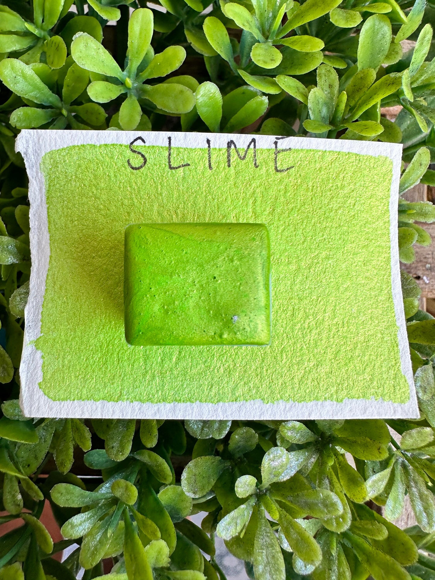 SLIME | Handmade Watercolors | Handmade Paint | Watercolors | Watercolor | Handmade Cards |