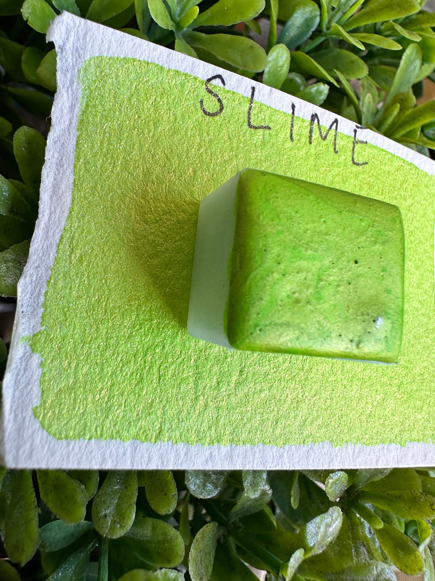 SLIME | Handmade Watercolors | Handmade Paint | Watercolors | Watercolor | Handmade Cards |