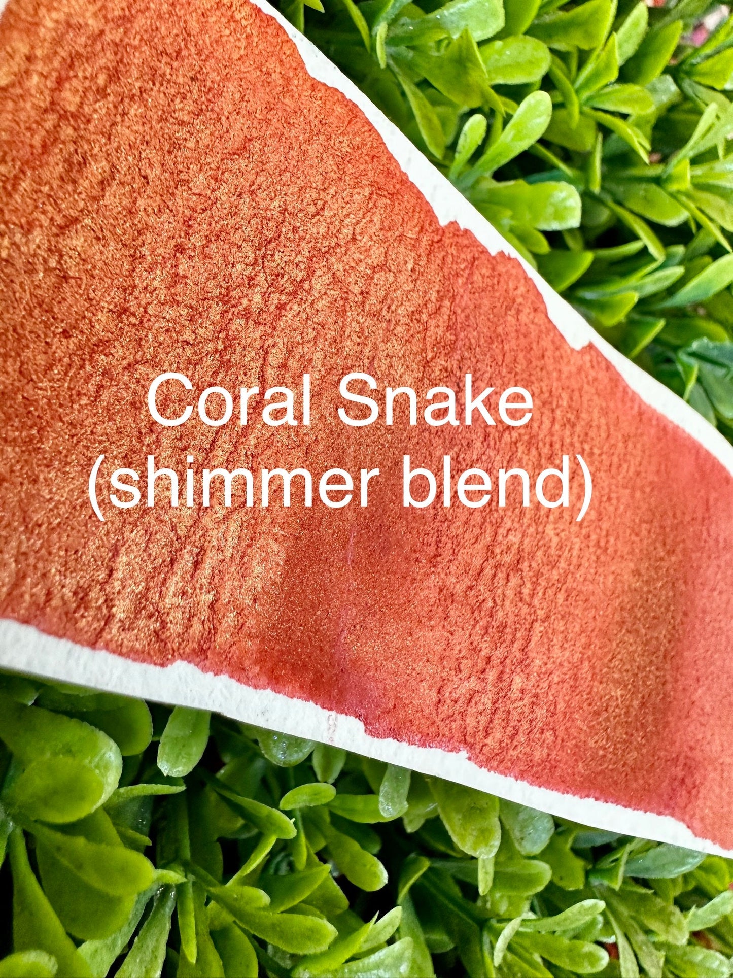 Coral Snake Shimmer Blend | Handmade Watercolors | Handmade Paint | Watercolors | Watercolor | Watercolor Artist