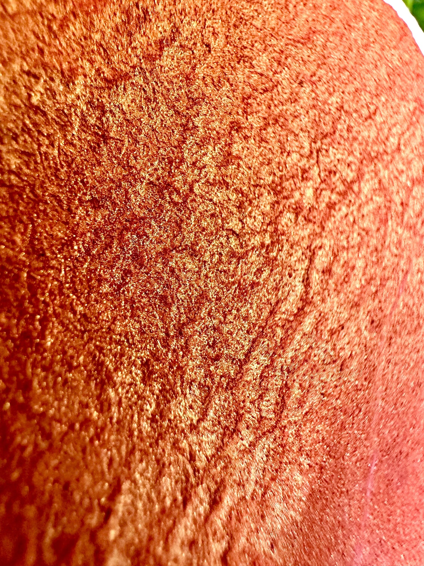 Coral Snake Shimmer Blend | Handmade Watercolors | Handmade Paint | Watercolors | Watercolor | Watercolor Artist