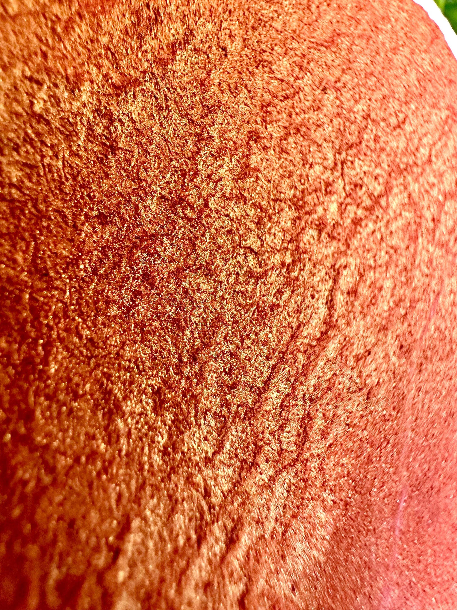 Coral Snake Shimmer Blend | Handmade Watercolors | Handmade Paint | Watercolors | Watercolor | Watercolor Artist