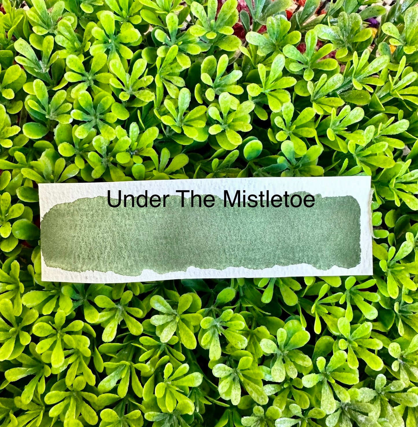 Under The Mistletoe / Shimmer Blend | Handmade Watercolors | Handmade Paint | Watercolors | Watercolor | Watercolor Artist