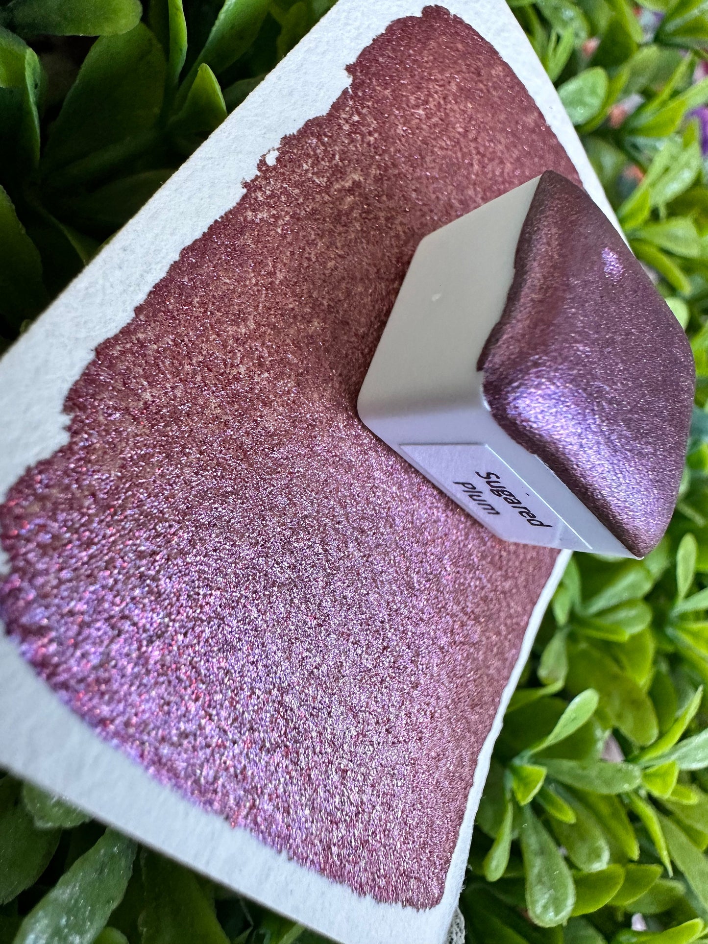 Sugared Plum | Christmas Theme | LIMITEDCOLOR | Handmade Watercolors | Handmade Paint | Calligraphy |